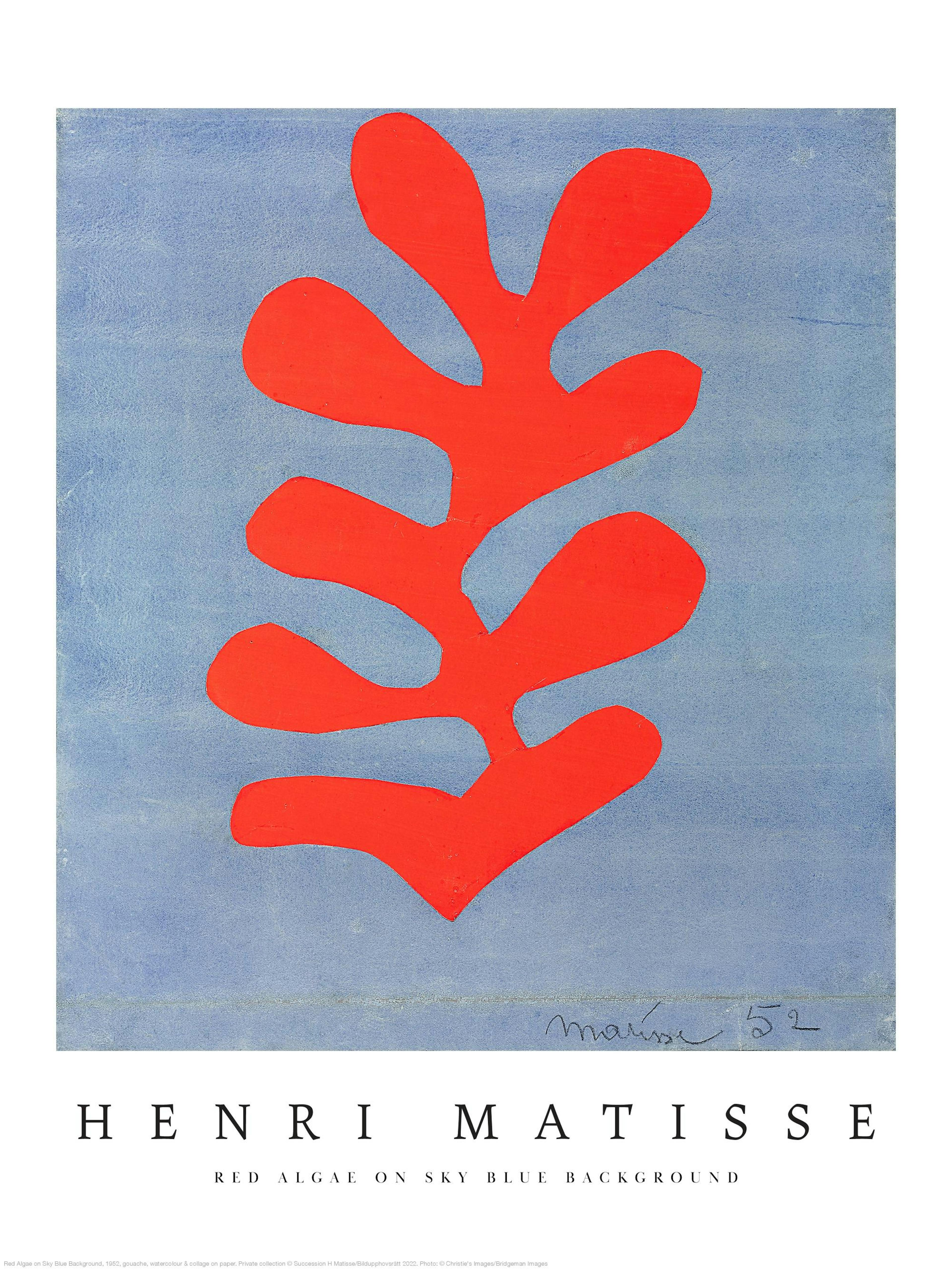 Poster con unalga rossa stilizzata su sfondo blu chiaro, in stile Matisse.
