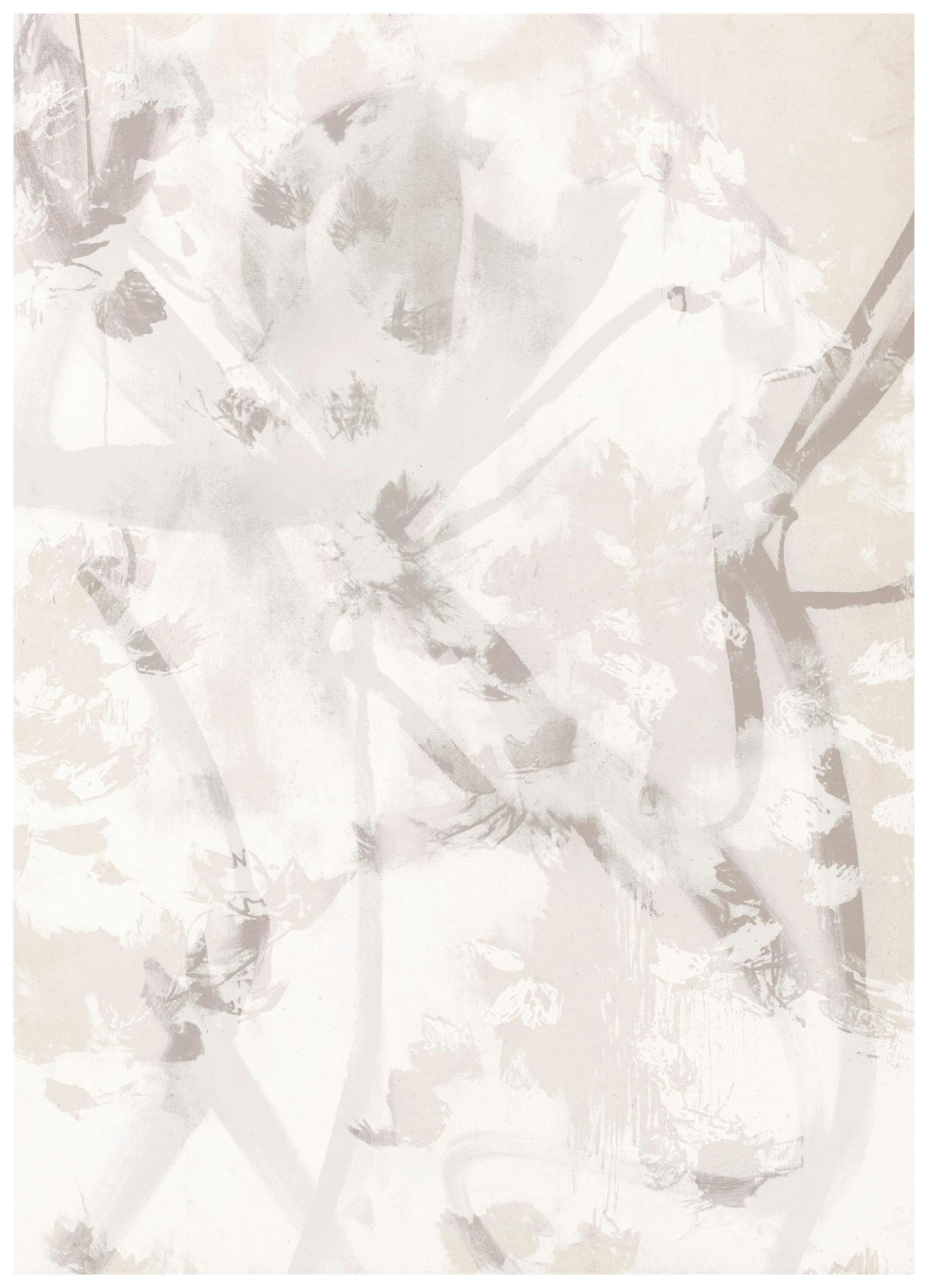 Myk Abstrakt No1 Plakat (30x40 cm) - Poster Store
