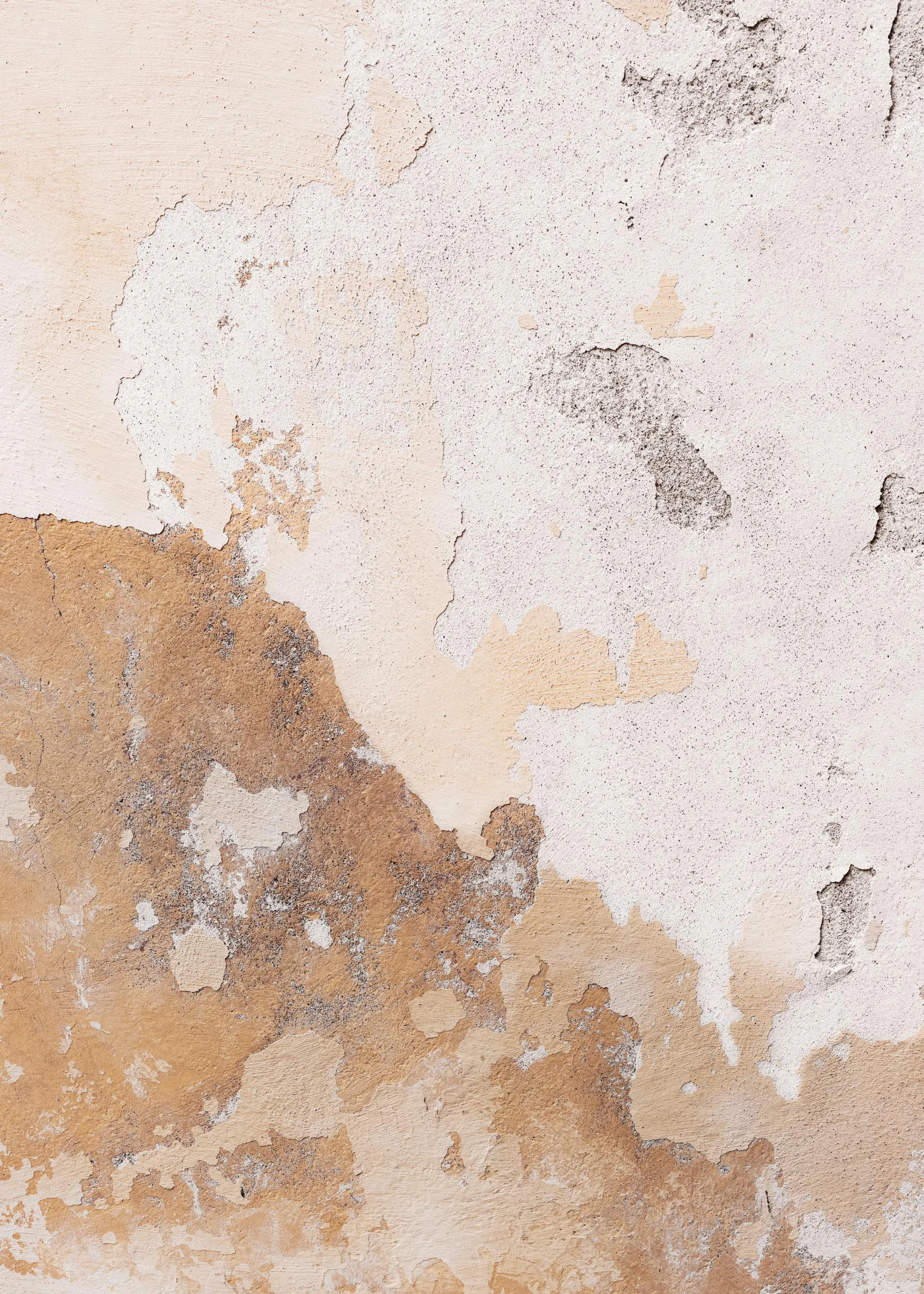 A poster featuring a close-up of a distressed wall with peeling light brown and white paint textures.