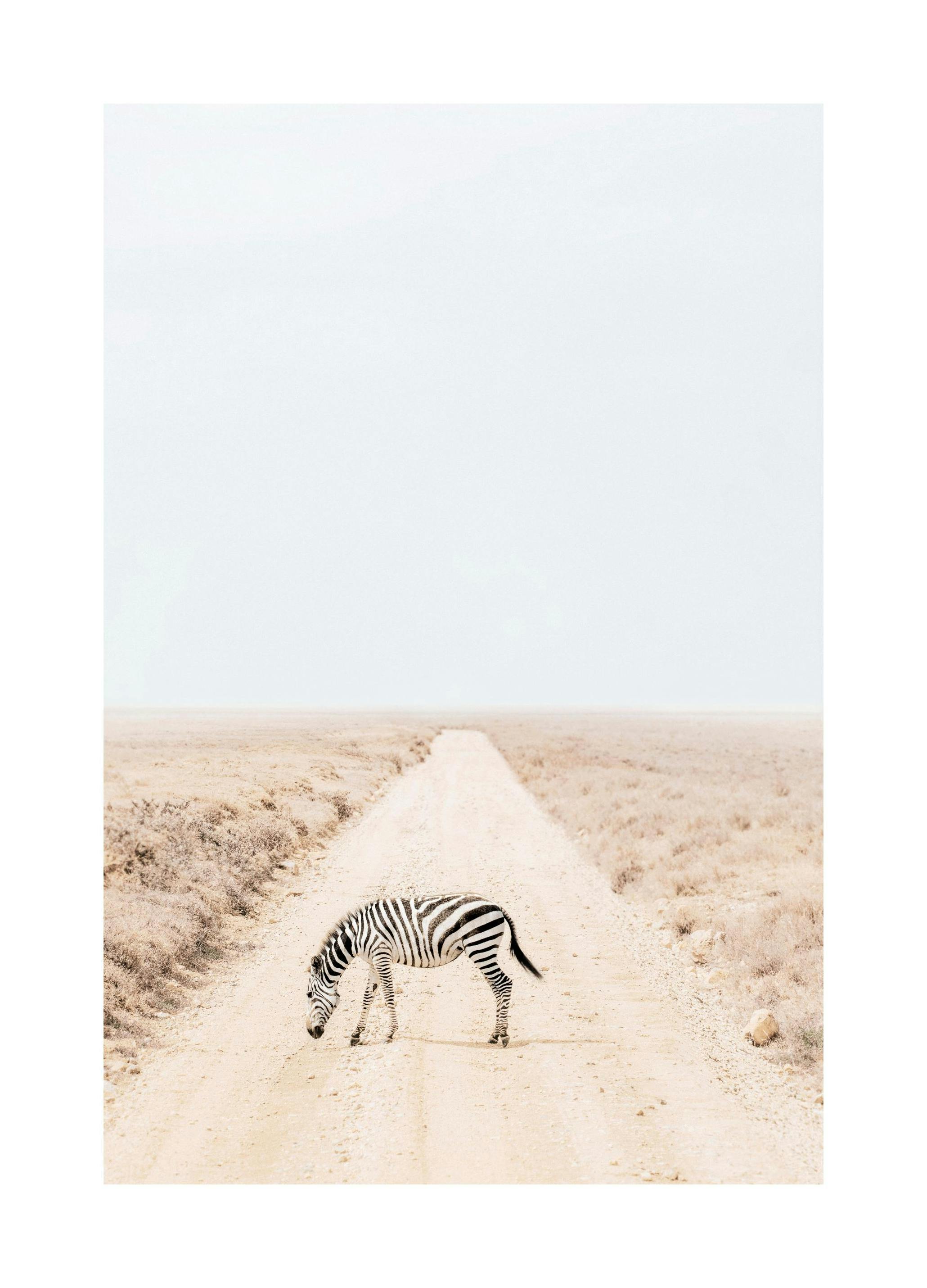 Stripet Reise Plakat (30x40 cm) - Poster Store