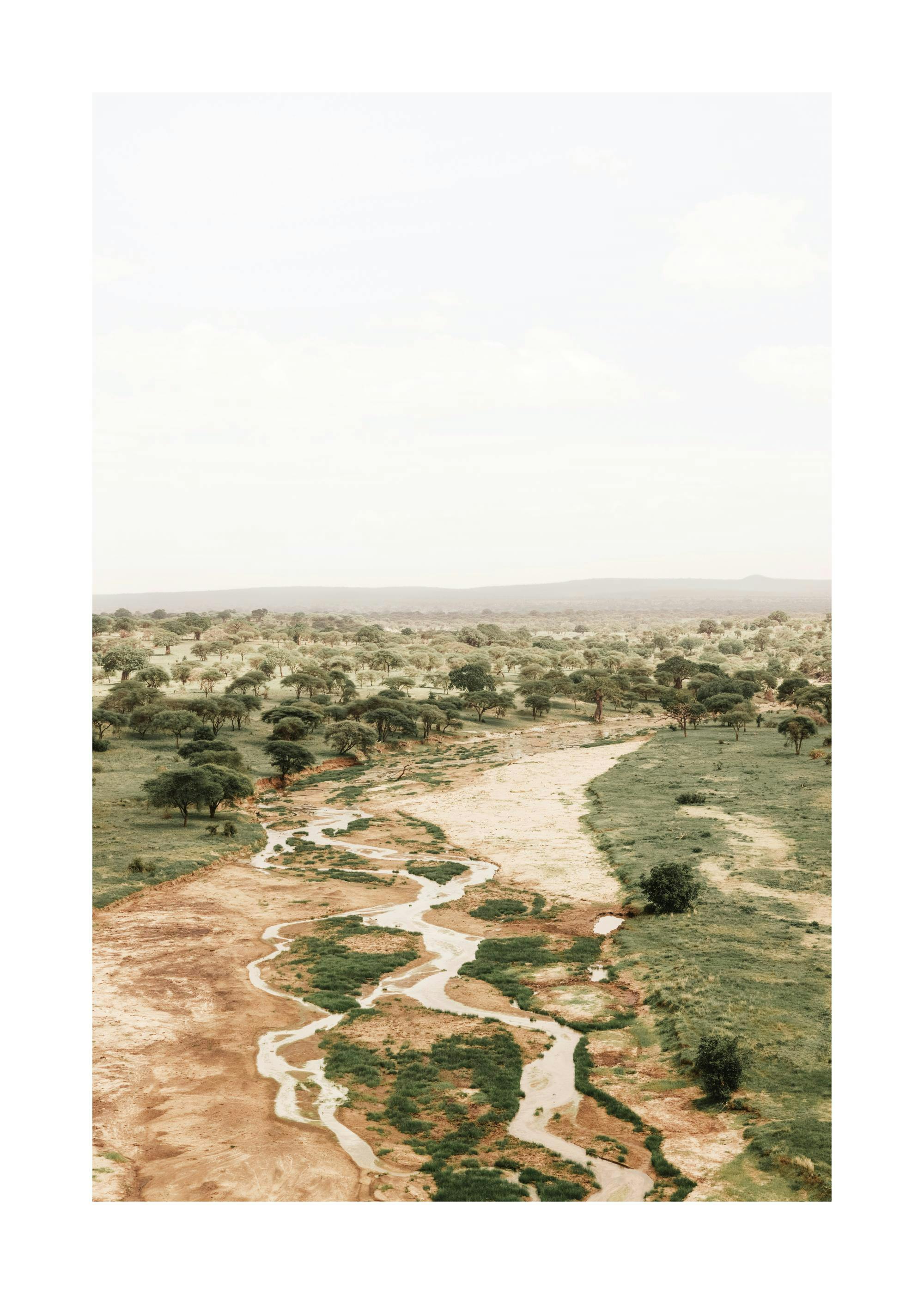 Poster: Eine Luftaufnahme der afrikanischen Savanne mit einem gewundenen Flussbett zwischen Bäumen und Graslandschaft.