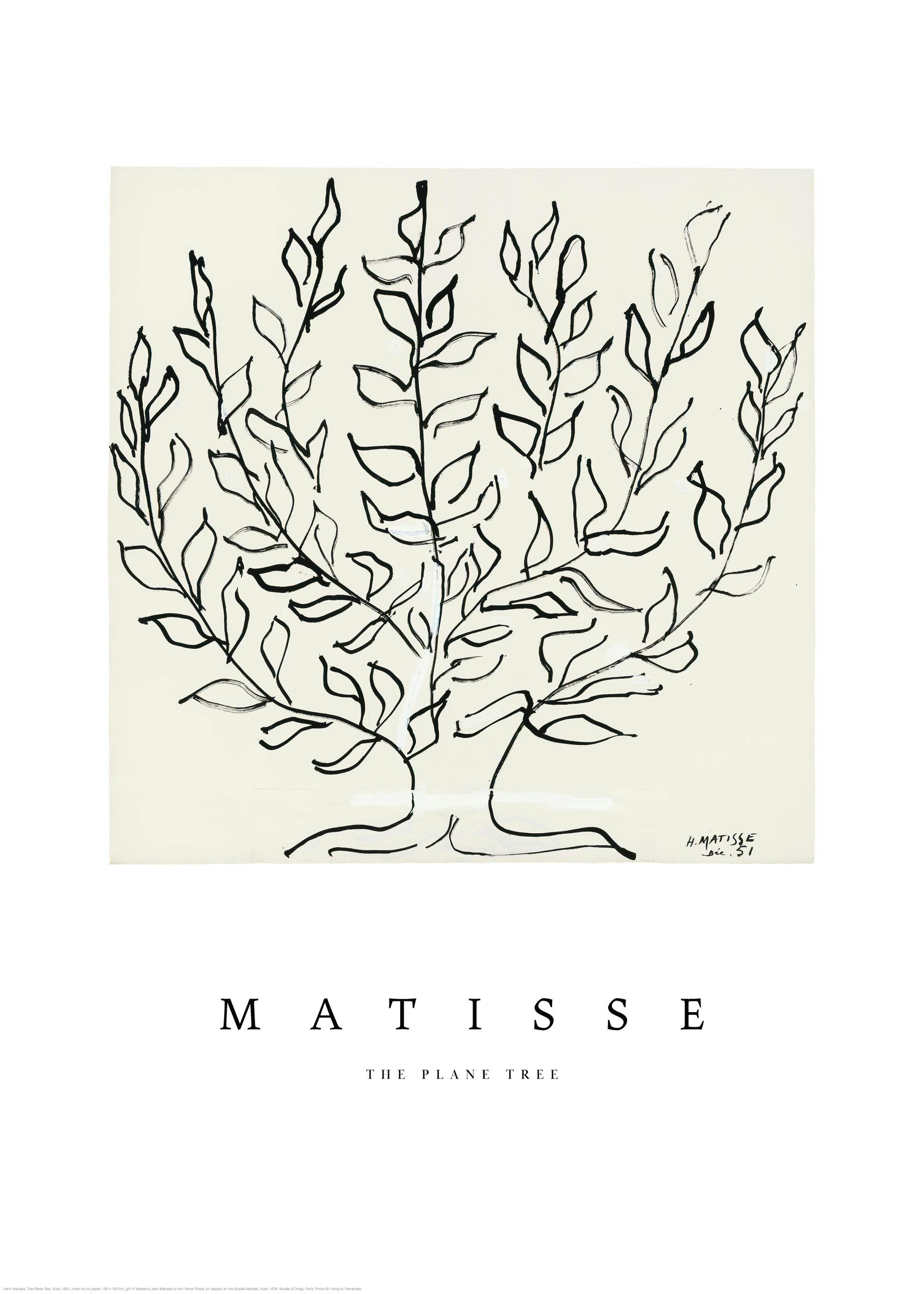 A poster featuring a Matisse line art drawing of a plane tree with black branches and leaves on a light background.