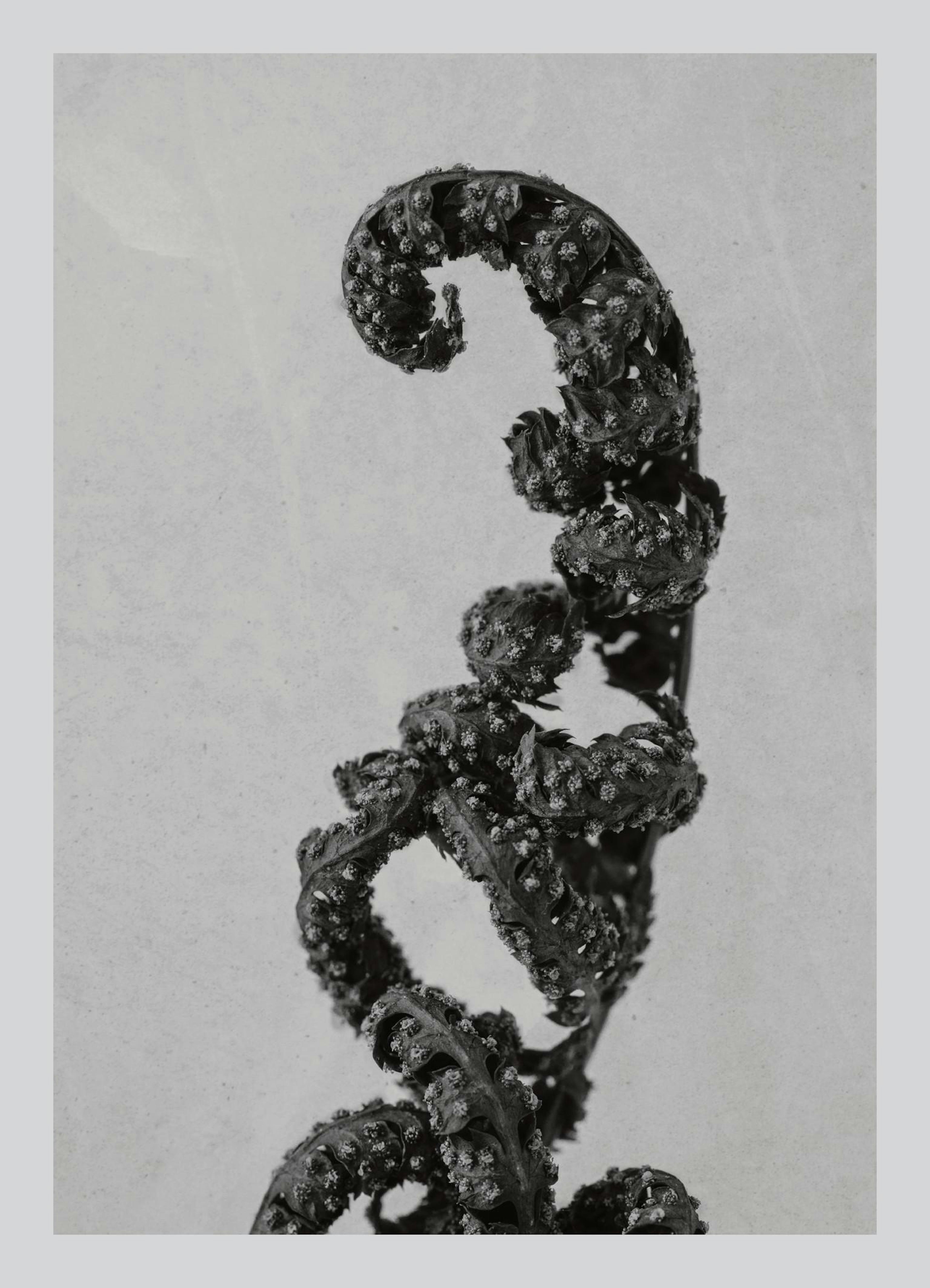 Product image: 1