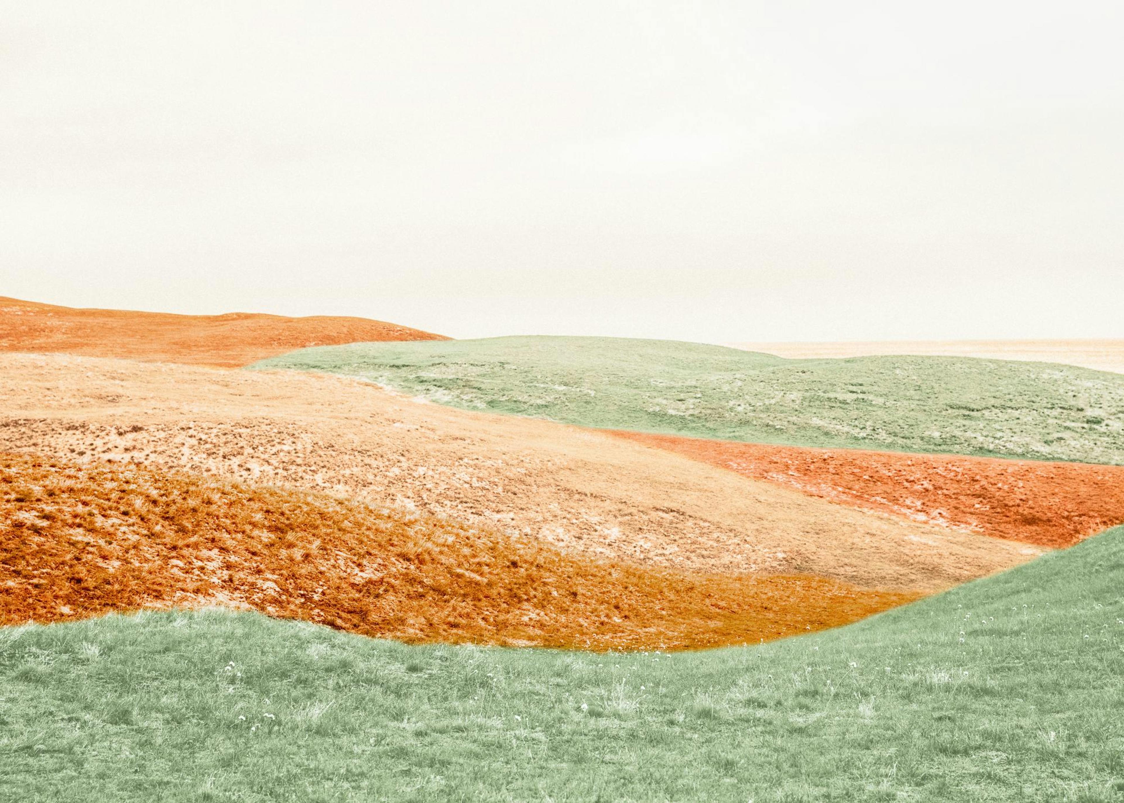 Poster einer sanften Hügellandschaft mit Gräsern in Orange- und Grüntönen unter hellem Himmel.