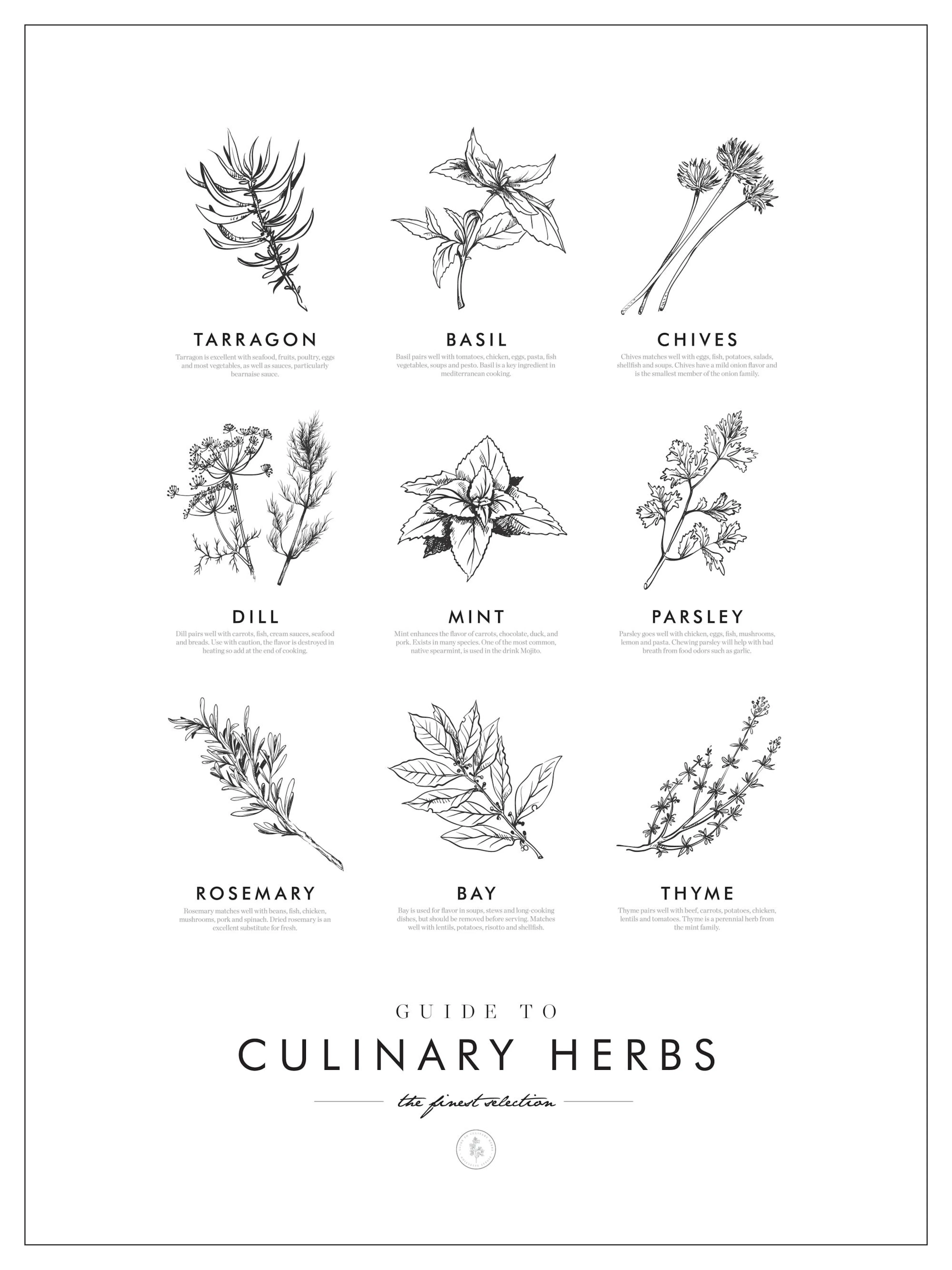 A poster featuring nine black and white illustrations of various culinary herbs with their names and uses.