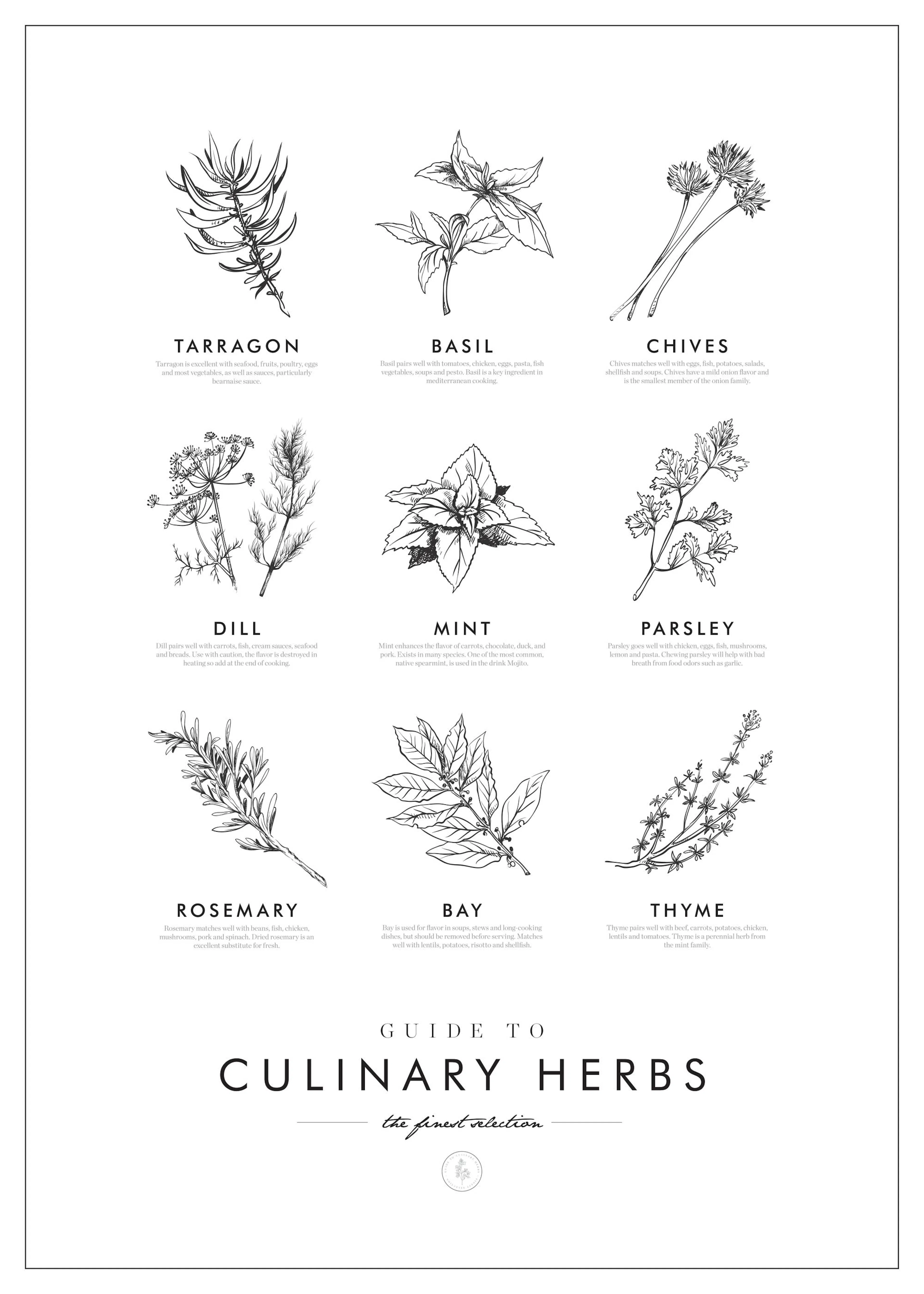 Mustavalkoinen keittiöyrtti-aiheinen juliste, jossa on kuvattu yrttejä, kuten basilikaa, minttua ja rosmariinia.