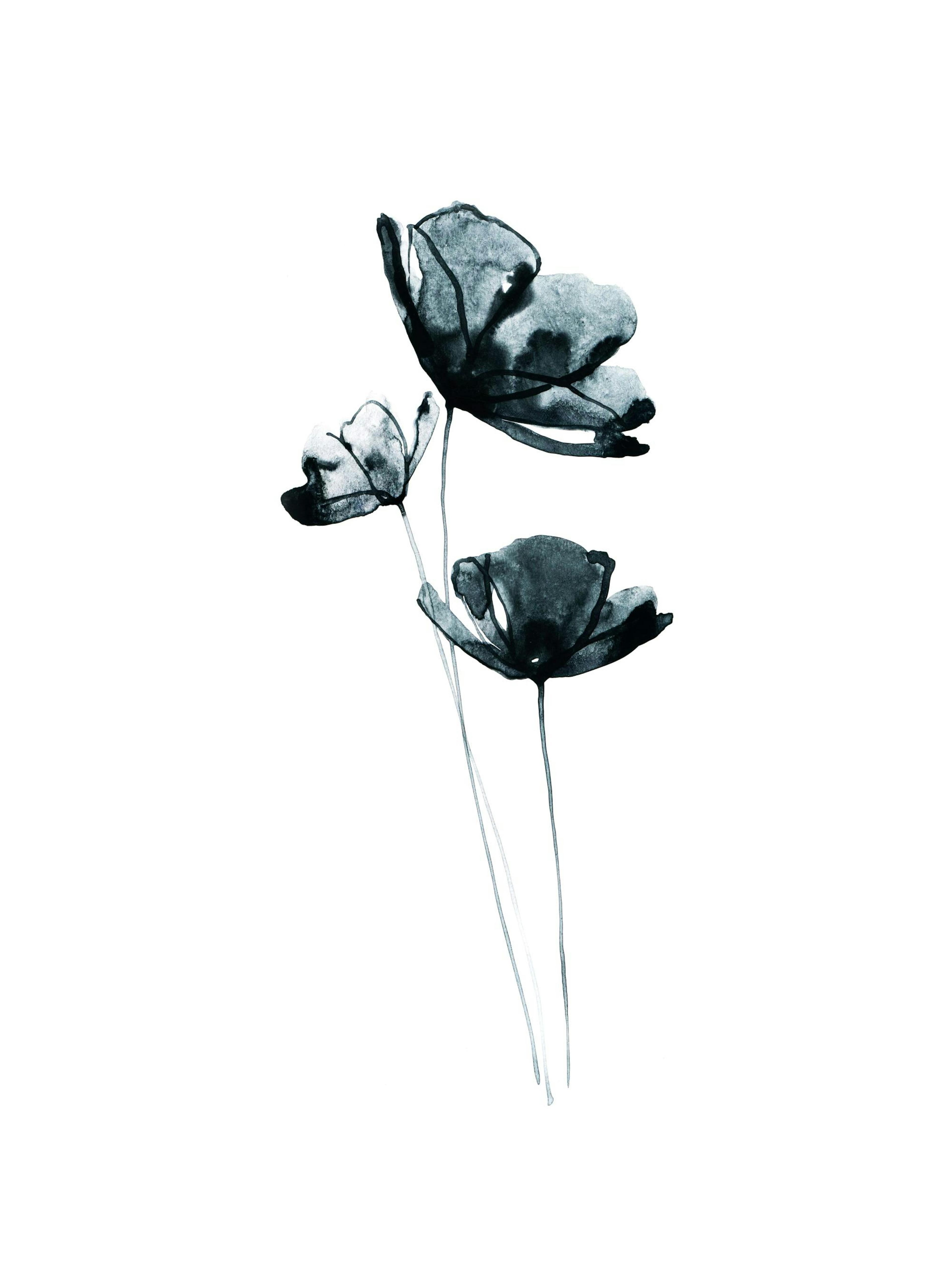 Póster de tres flores abstractas de acuarela en tonos grises y negros con tallos finos sobre un fondo blanco.