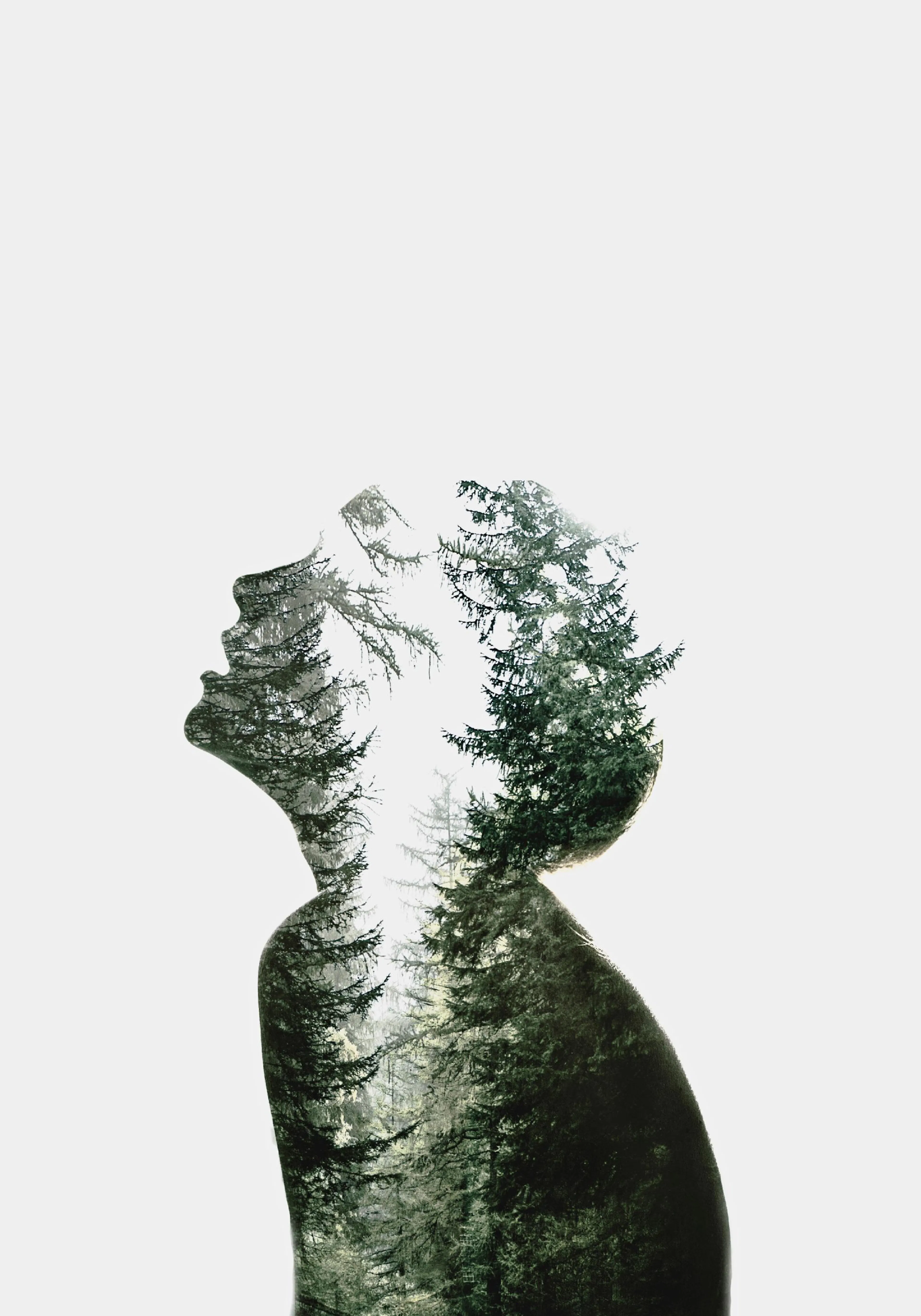 A poster featuring a double exposure of a human silhouette with a forest of green pine trees.