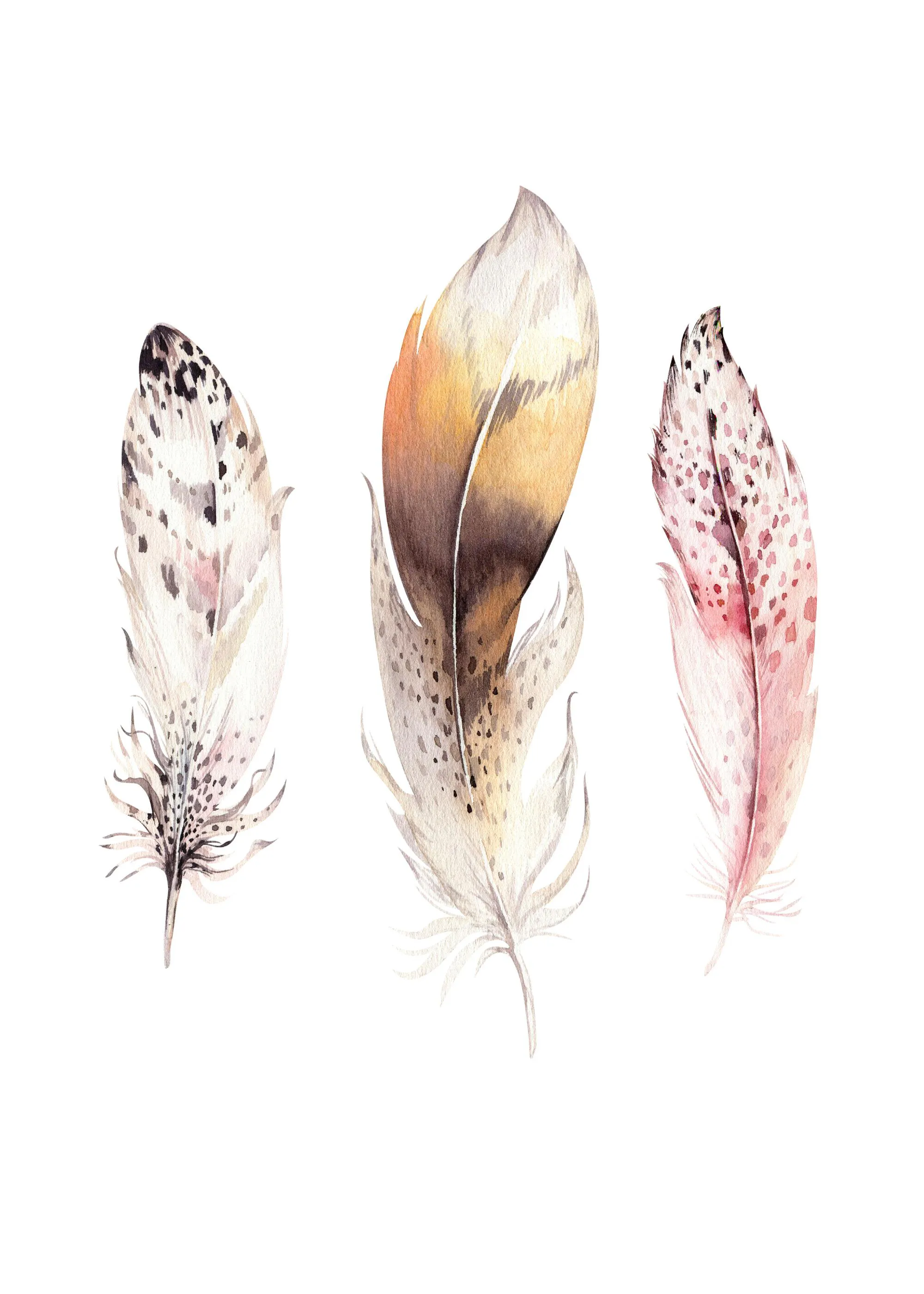 A poster featuring three watercolour feathers with abstract spots in white, brown, and pink hues.