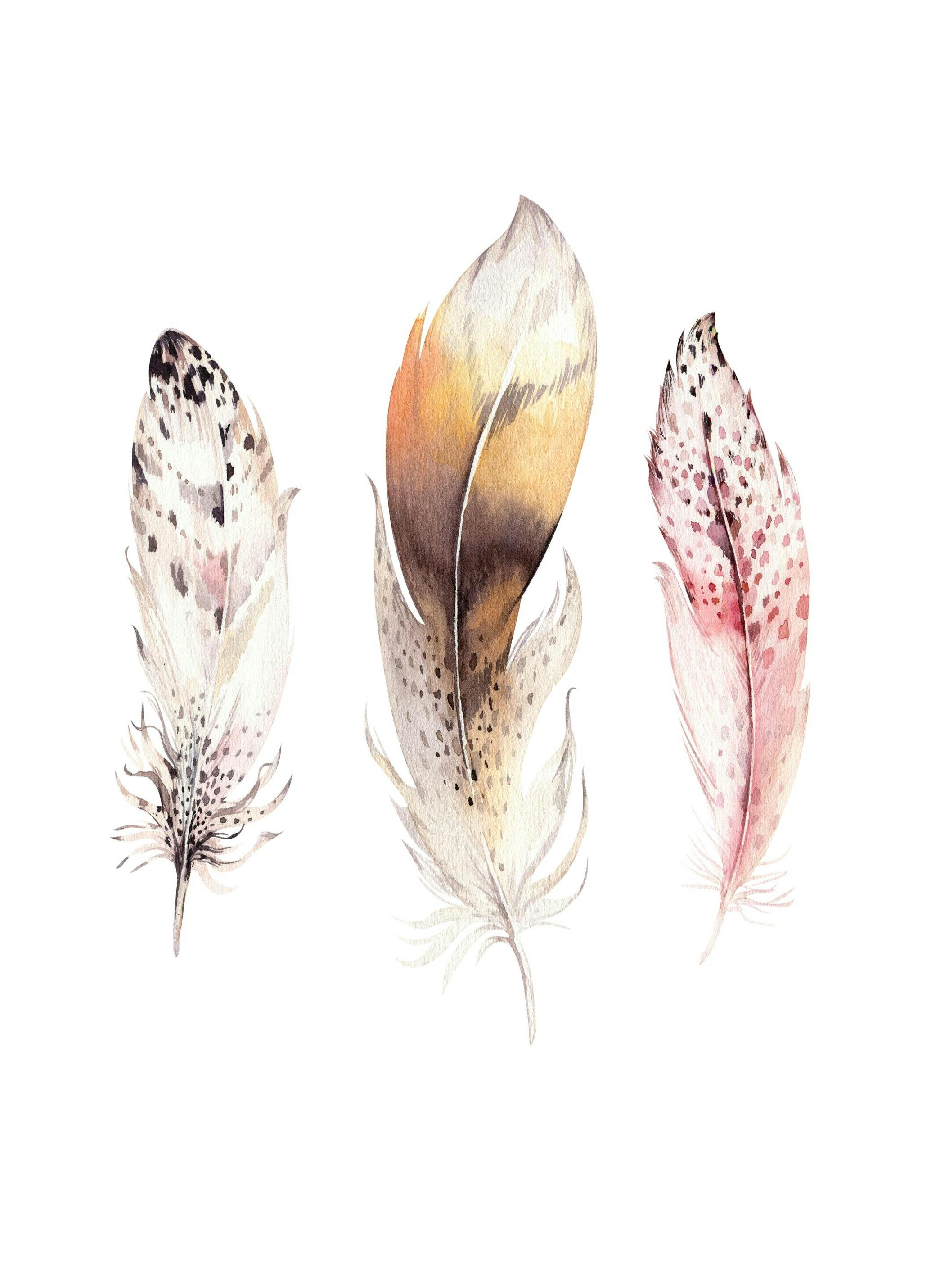 Feathers Poster (21x30 cm) - Poster Store