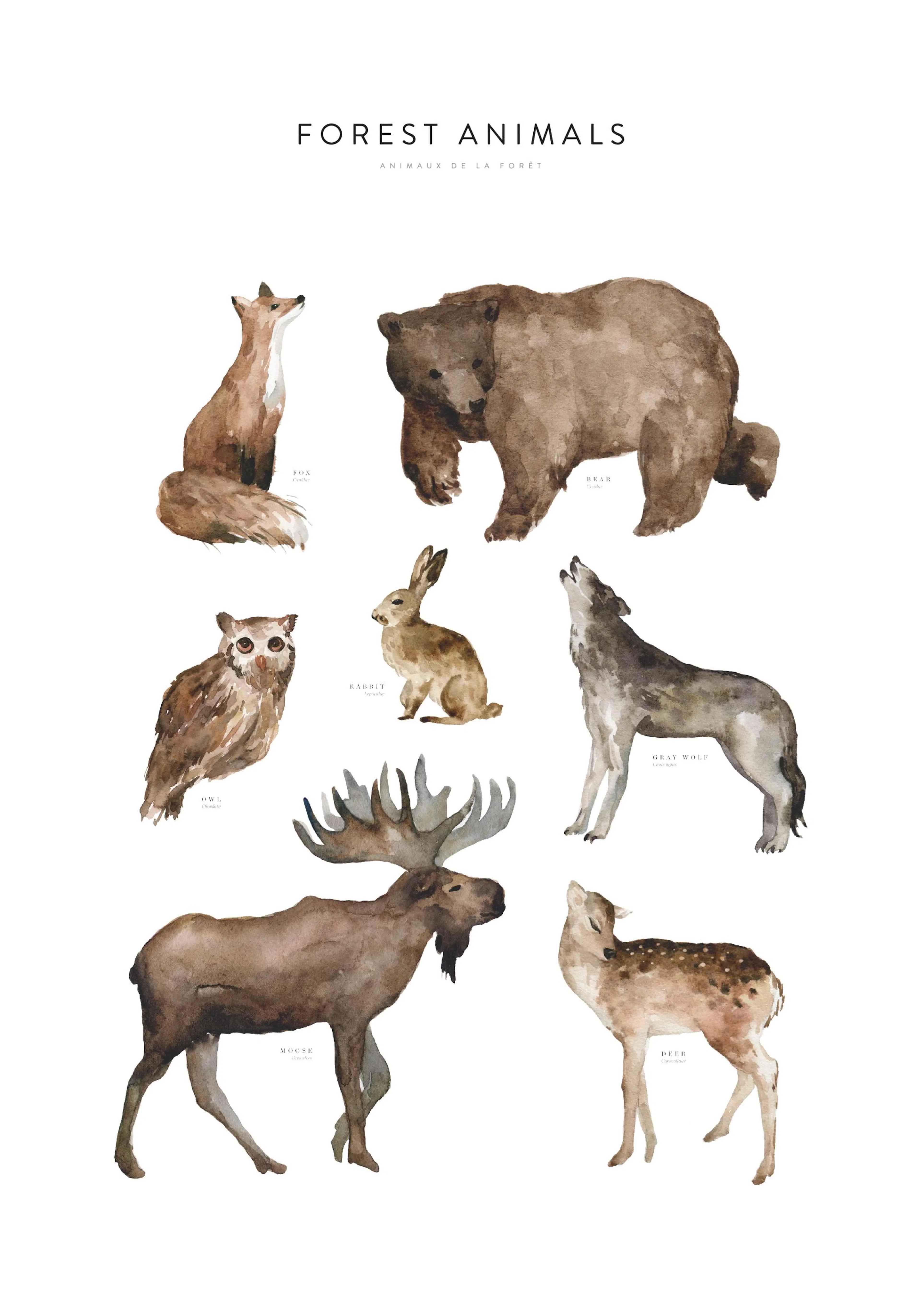 Poster: Aquarellbilder von Waldtieren wie Fuchs, Bär, Kaninchen, Wolf, Elch, Hirsch und Eule auf weißem Hintergrund.