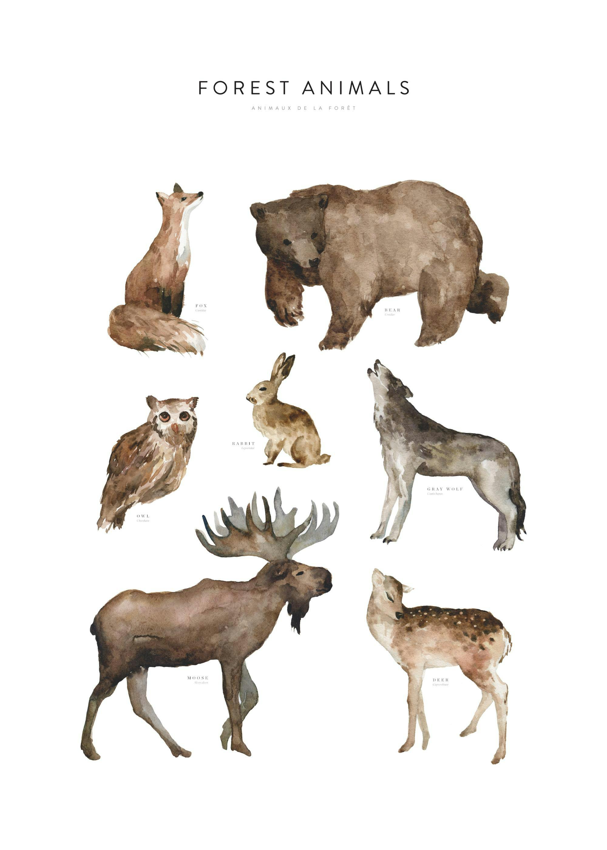 A poster featuring watercolor illustrations of forest animals, including a fox, bear, rabbit, owl, wolf, moose, and deer.