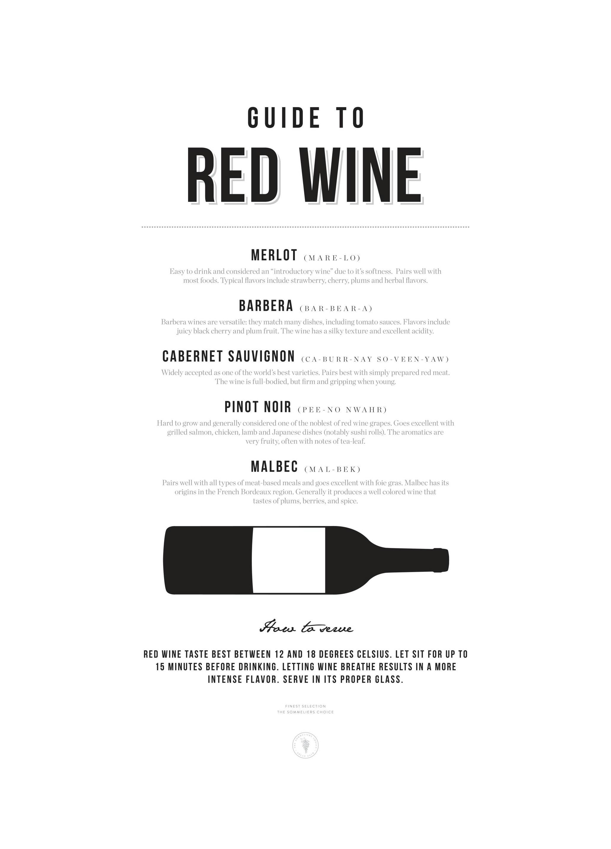 Guide to Red Wine Poster (30x40 cm) - Poster Store