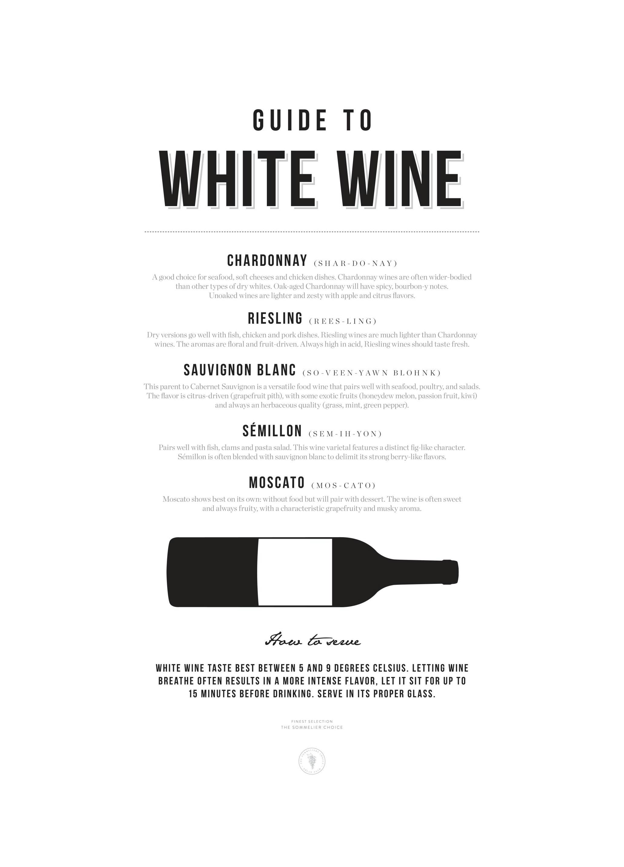 Guide to White Wine Poster (30x40 cm) - Poster Store
