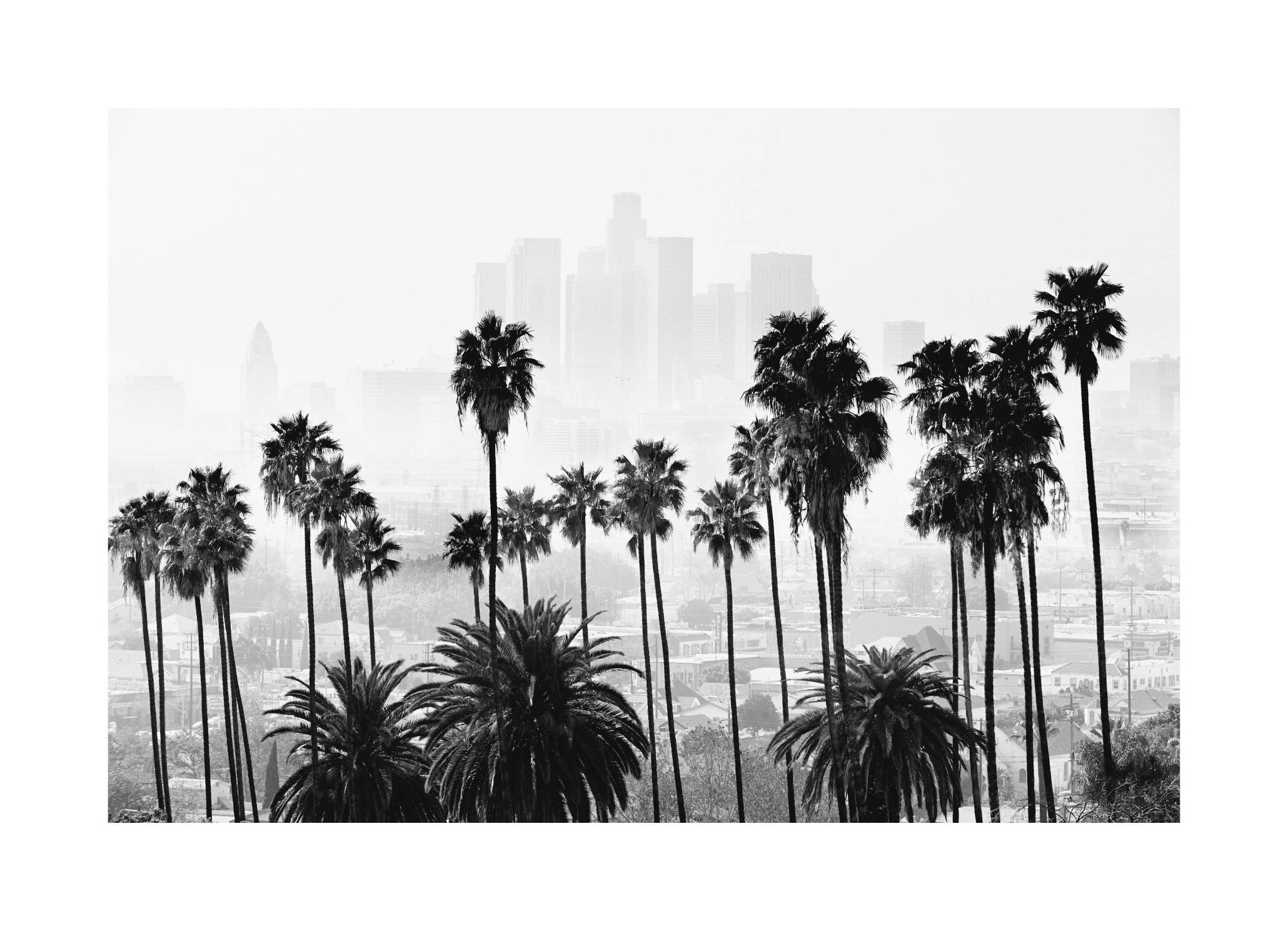 LA Poster (30x40 cm) - Poster Store