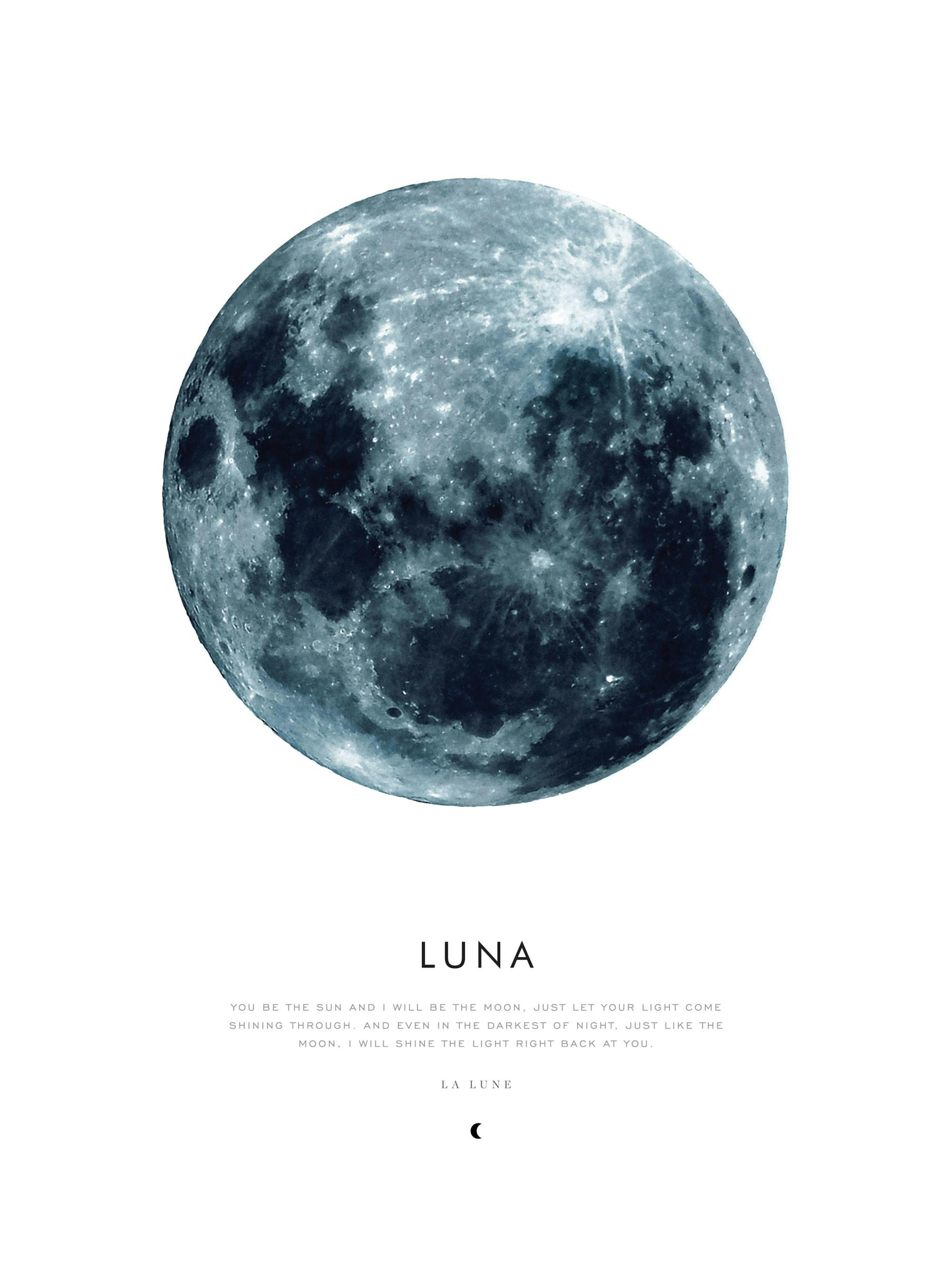 Posters di magnolia, luna e un treno tra le montagne, appesi in una galleria a parete con un vaso di fiori.