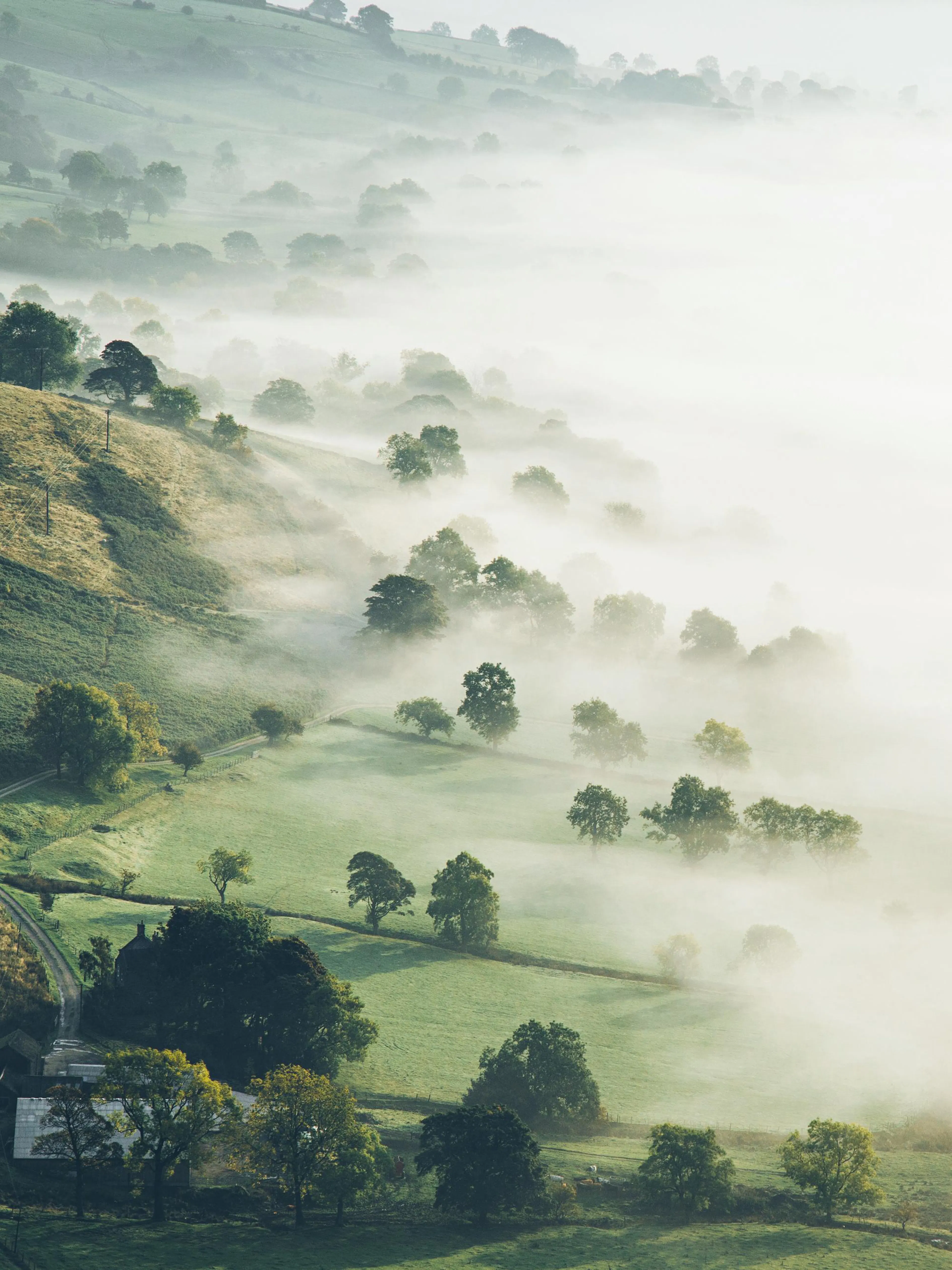 A poster depicting a misty, green valley with trees emerging from the fog and a glimpse of a house.