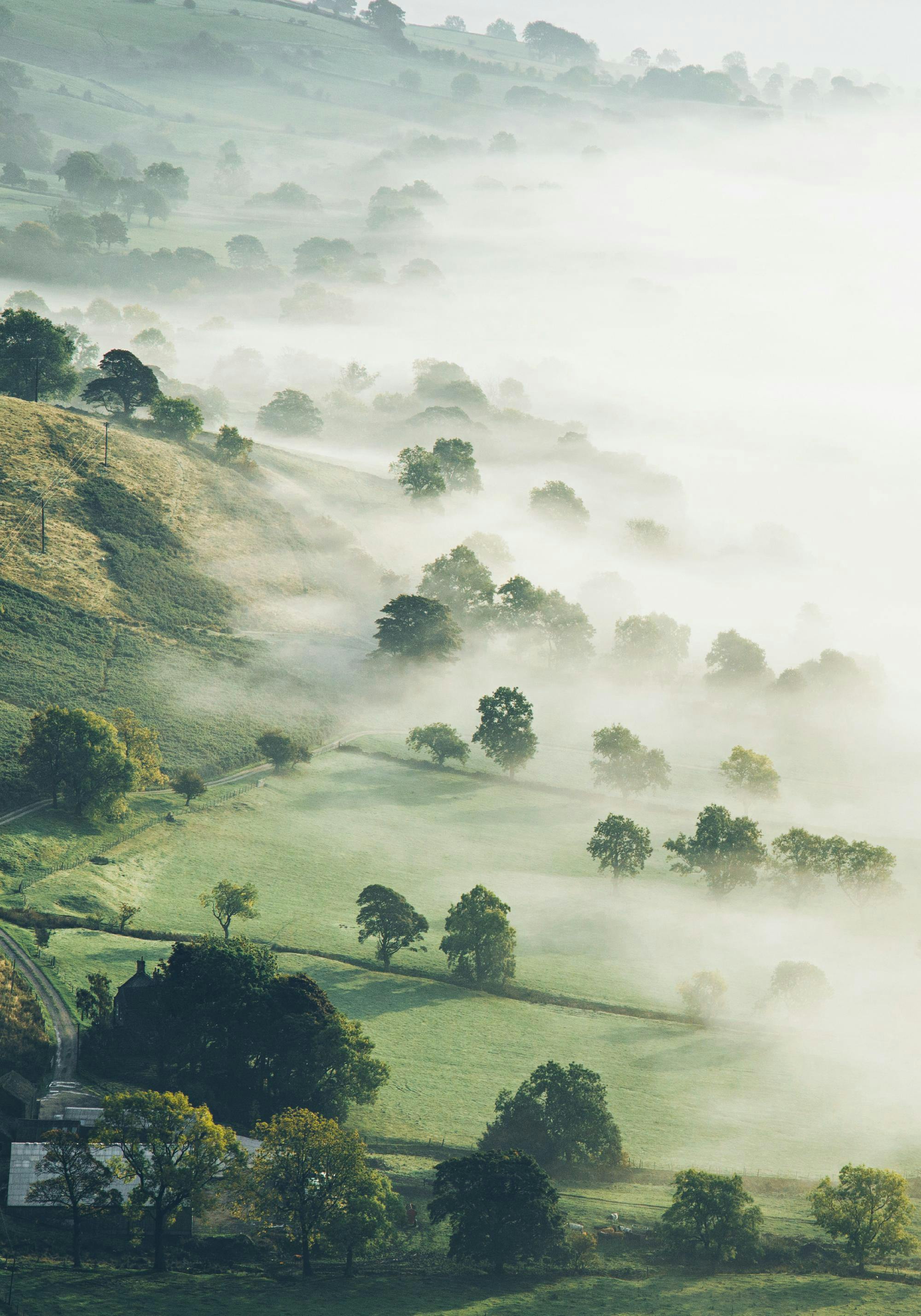 En poster som visar ett dimmigt, grönskande landskap med kullar, träd och en liten väg som slingrar sig genom dimman.