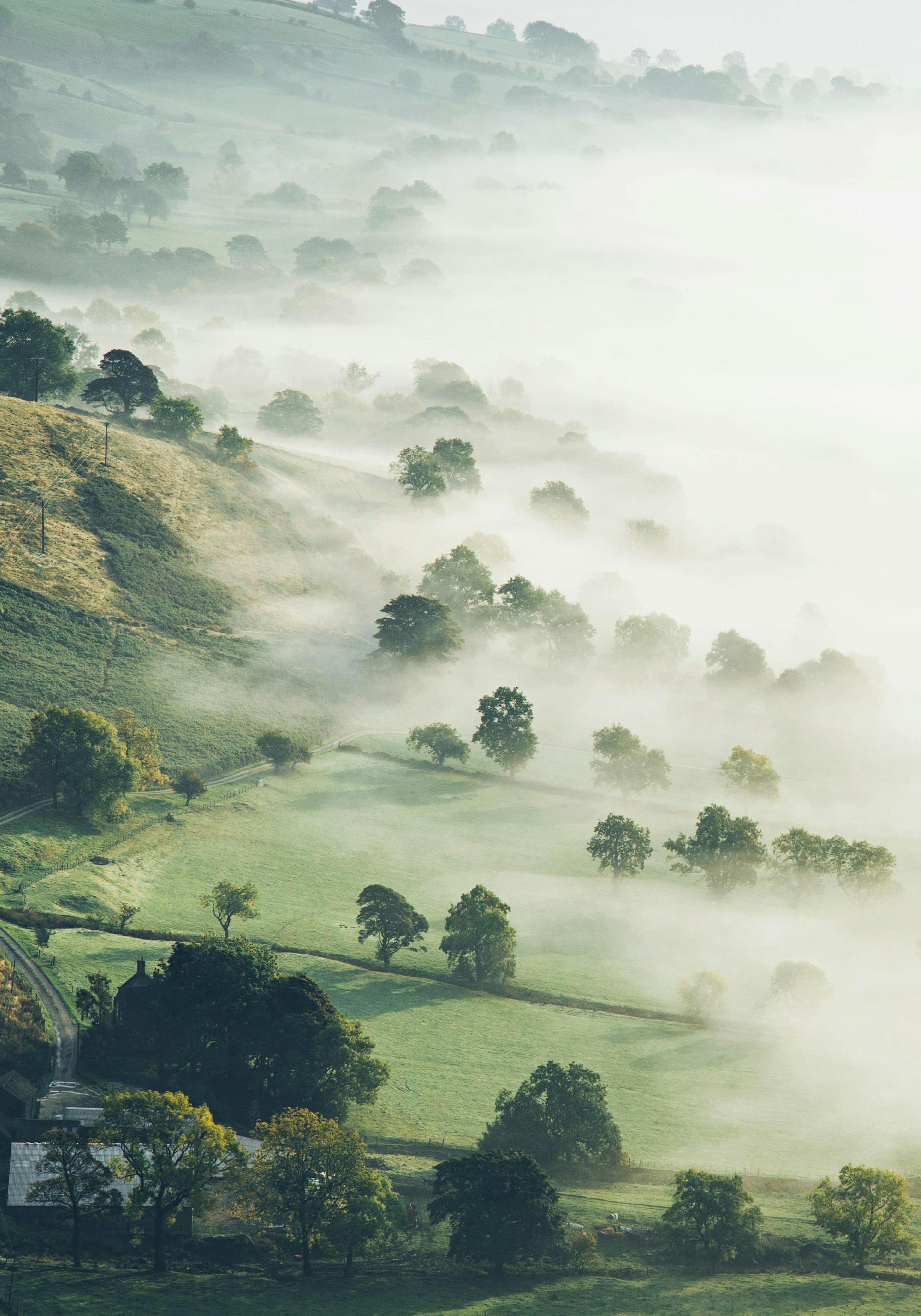 Over the Hill. Poster 0