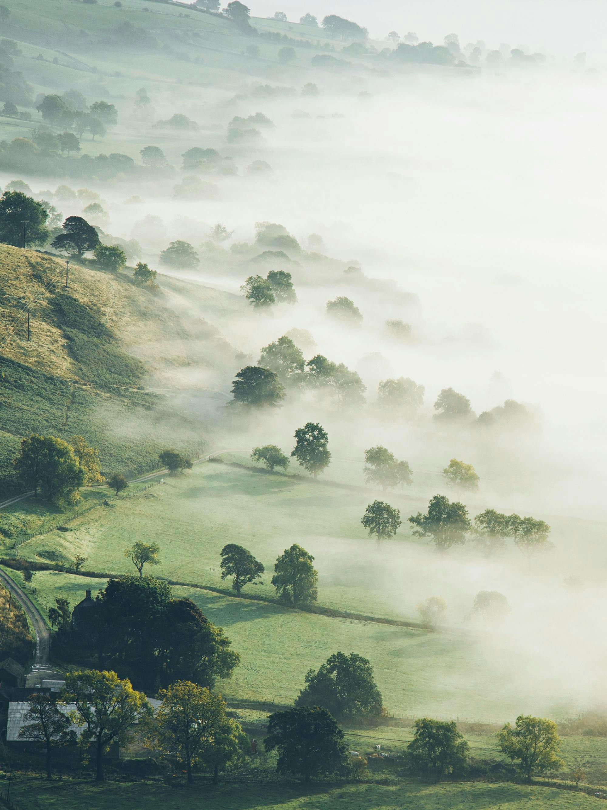 Een poster van een mistig landschap met groene heuvels, bomen en een boerderij, badend in ochtendlicht.