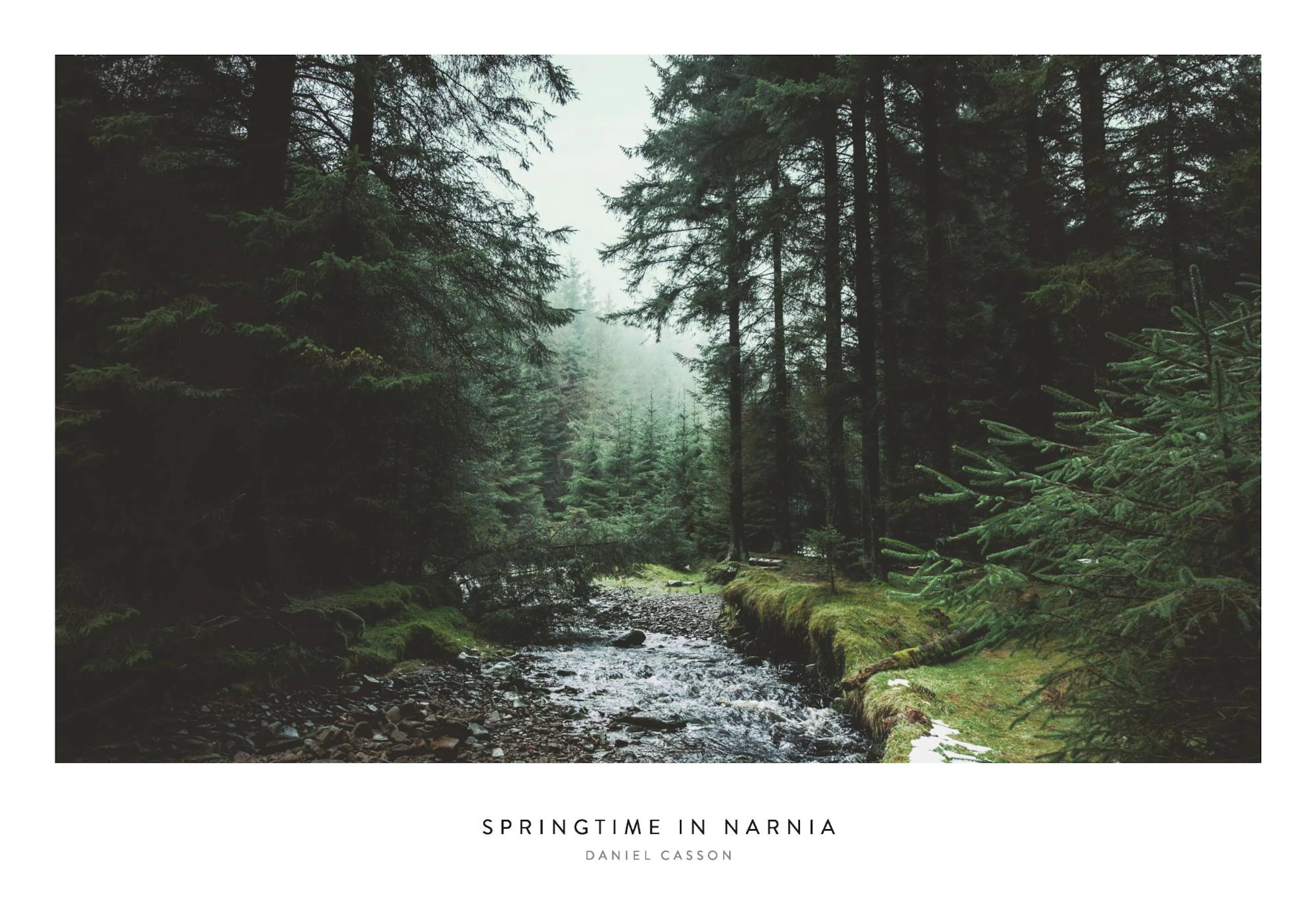 A poster featuring a forest stream flowing through a dense, dark green pine forest with a light, misty background.