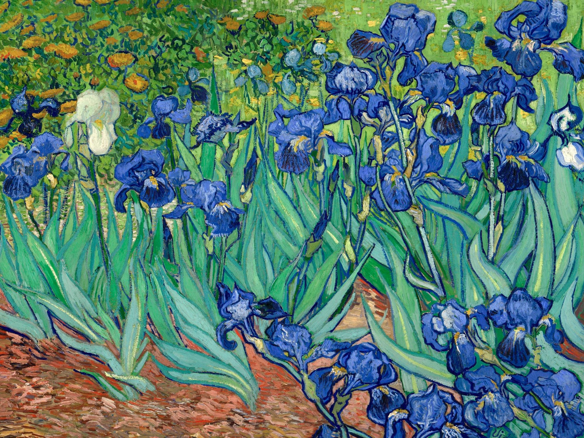 Vincent van Gogh Irises Poster with Flowers | Poster Store US