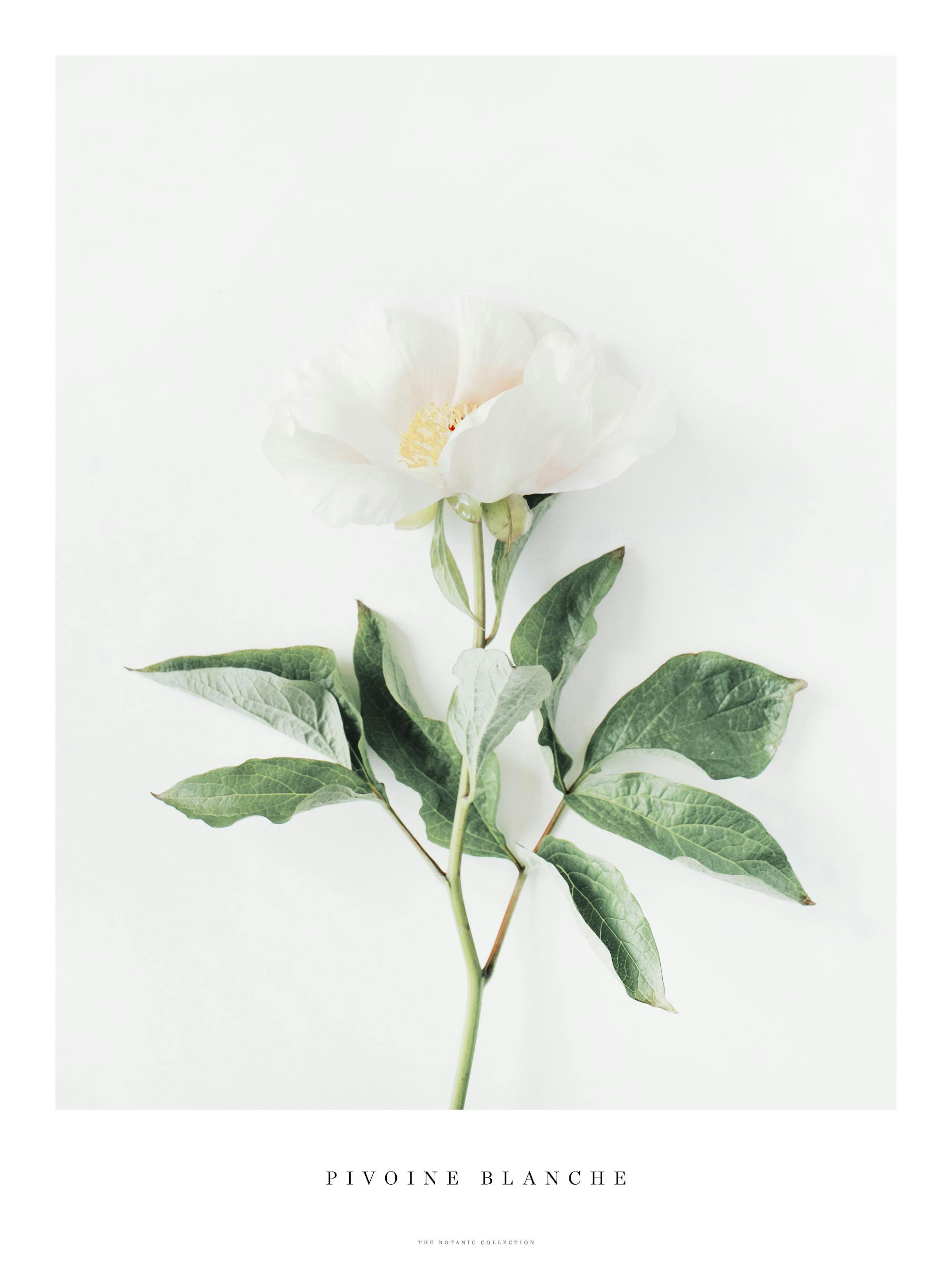 Product image: 1