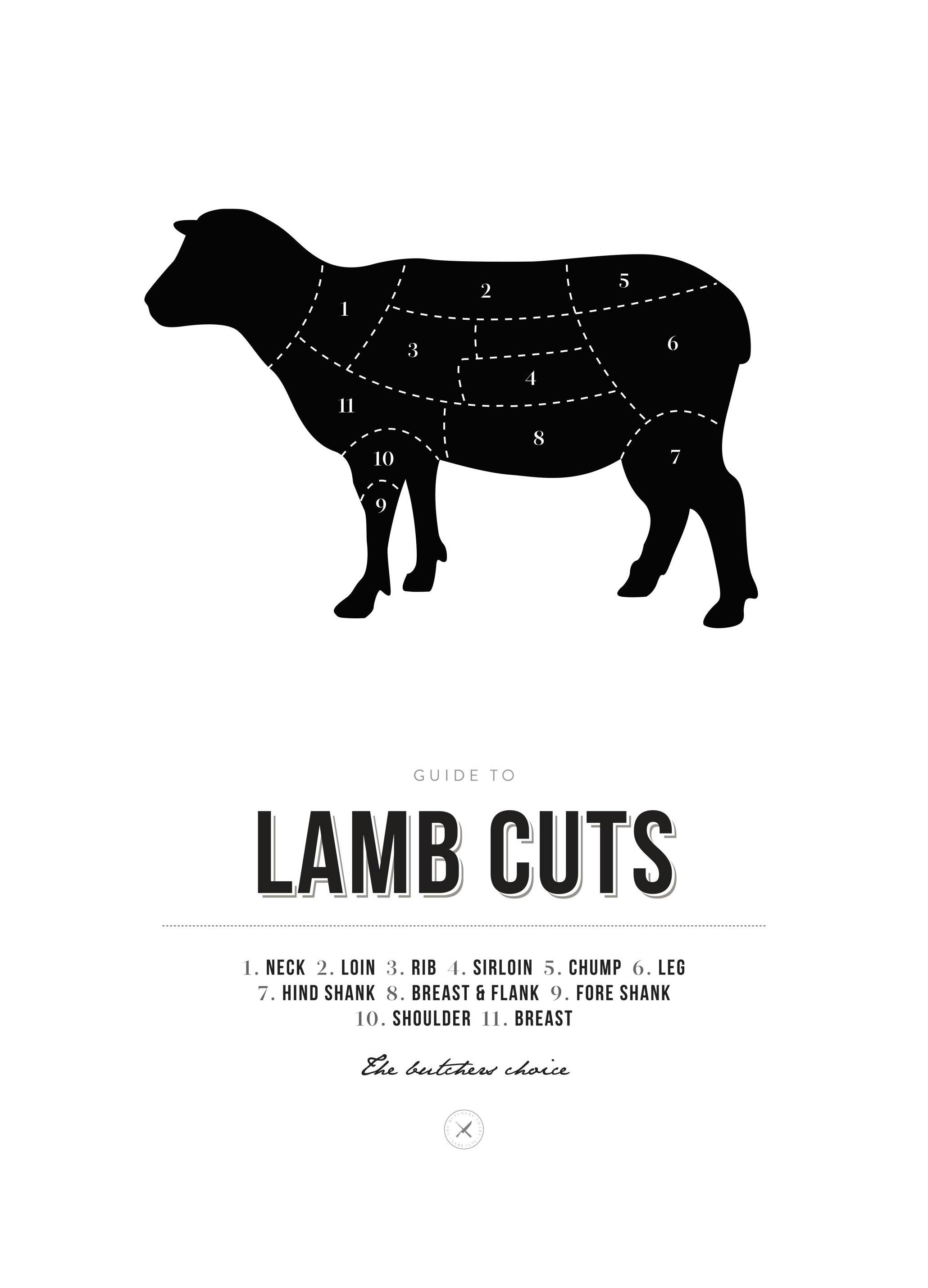 Lamb Cuts. Poster (21x30 cm) - Poster Store