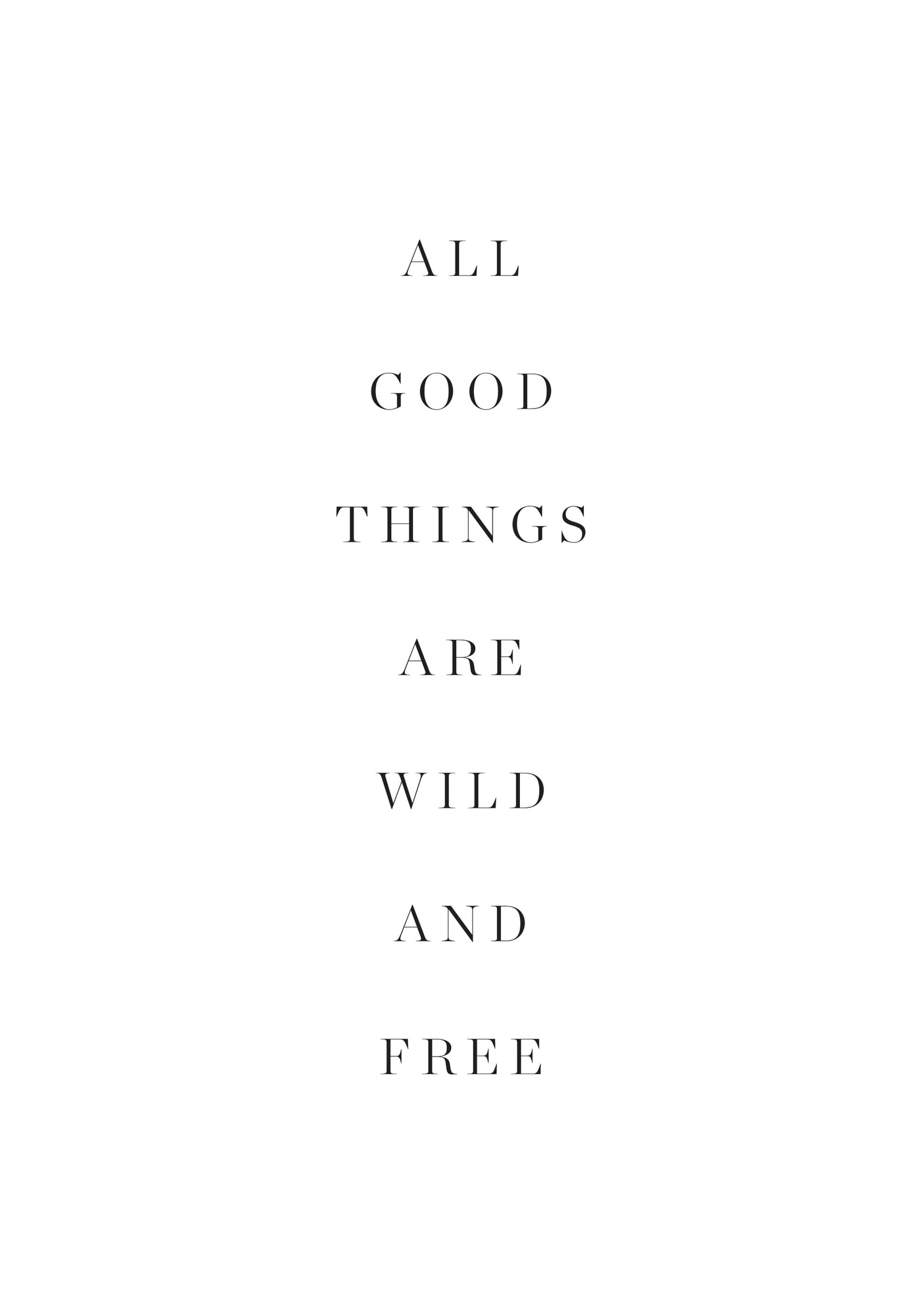 Plakát s textem ALL GOOD THINGS ARE WILD AND FREE černým písmem na bílém pozadí.