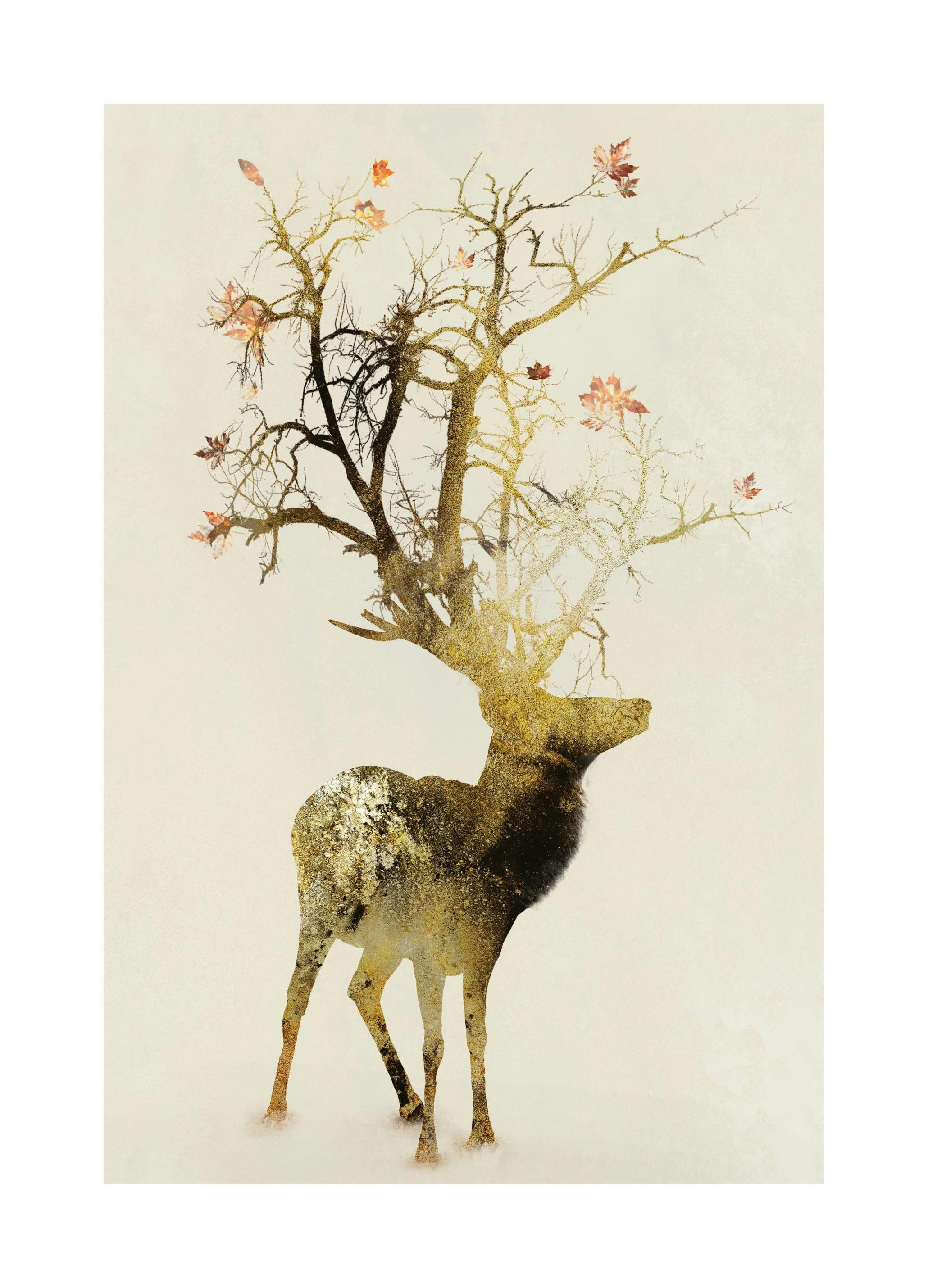 Autumn Plakat (21x30 cm) - Poster Store