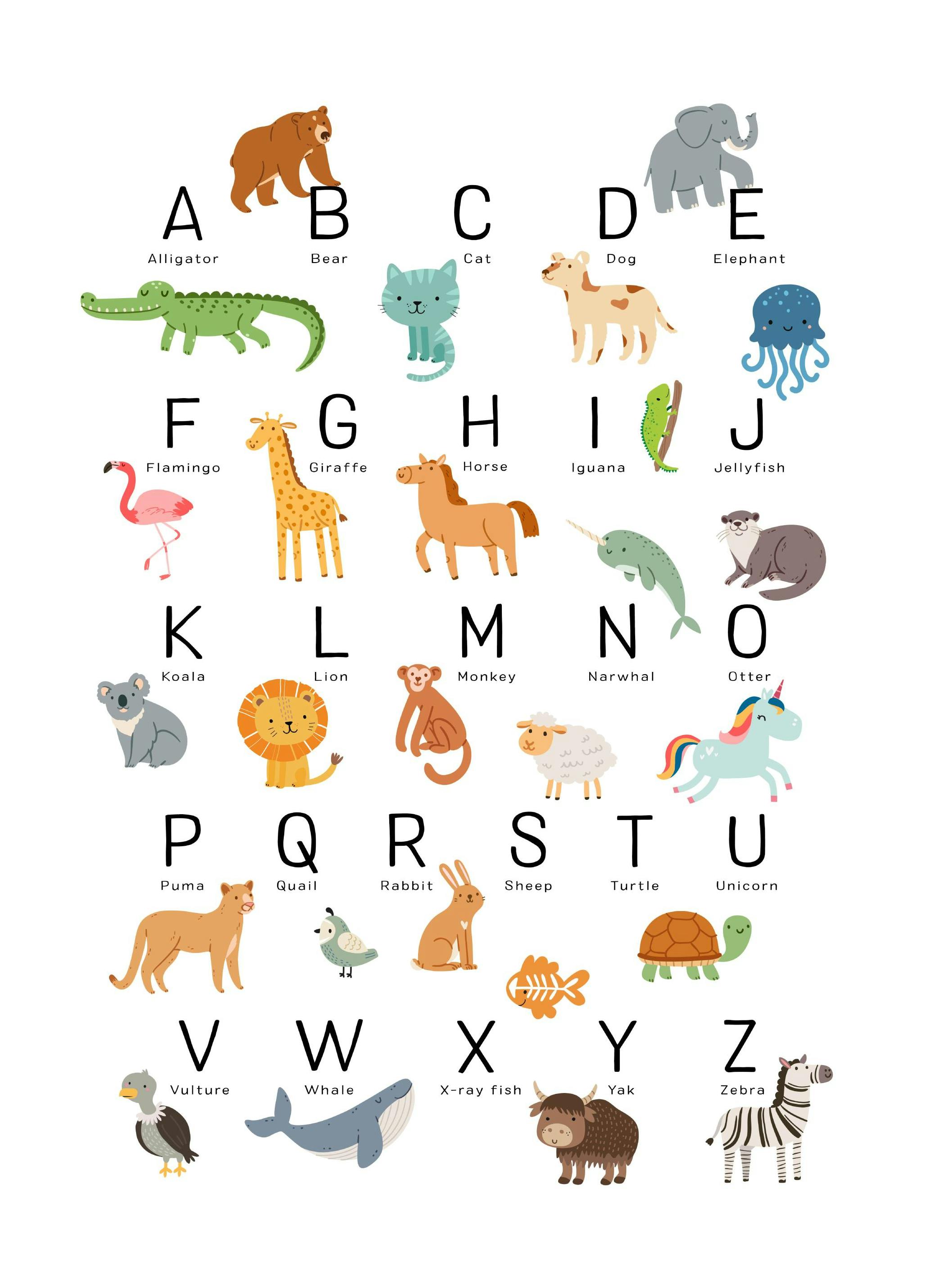 Alfabeto Animali Poster (21x30 cm) - Poster Store
