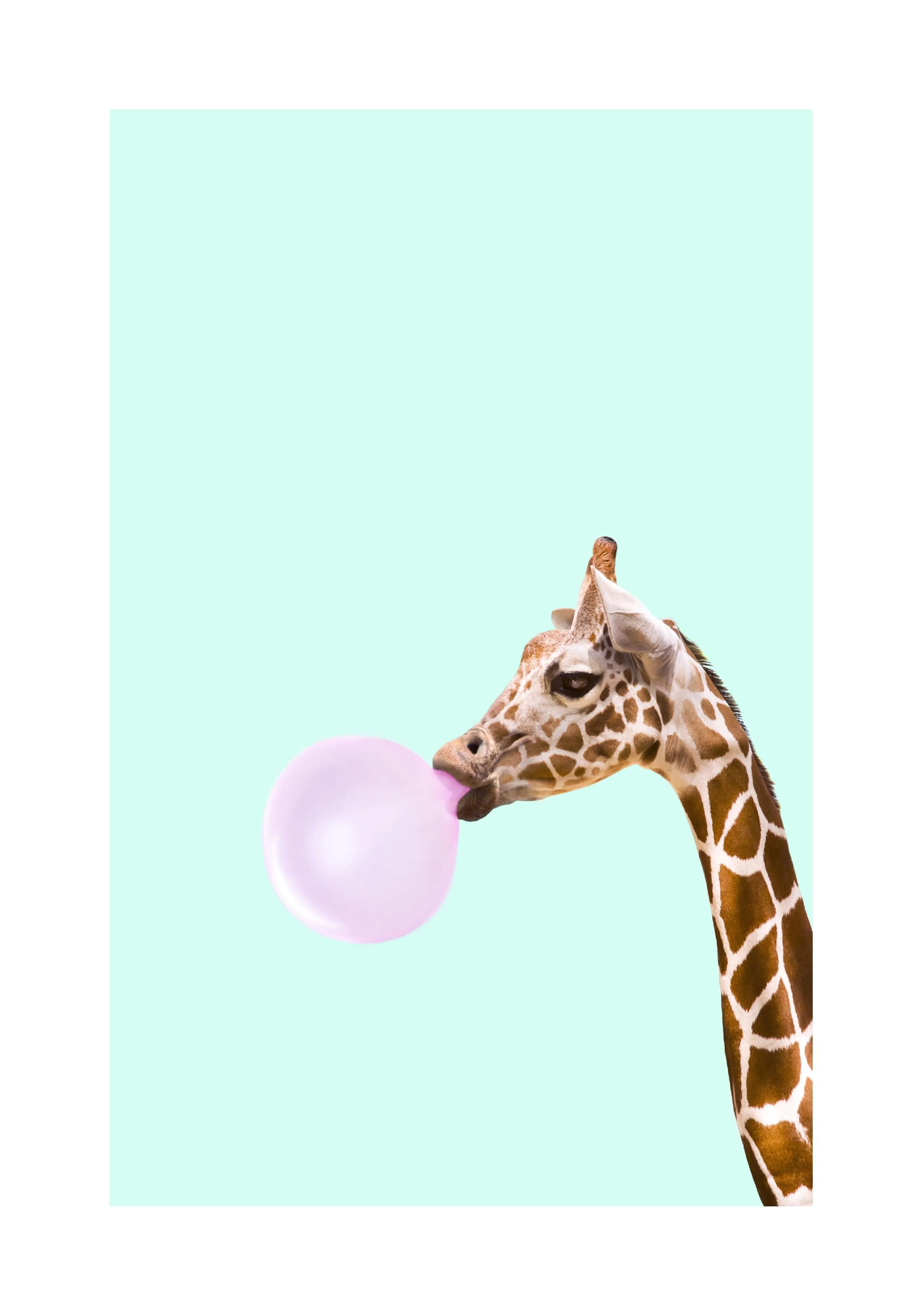 A poster featuring a giraffe with a pink bubblegum bubble on a light blue background.