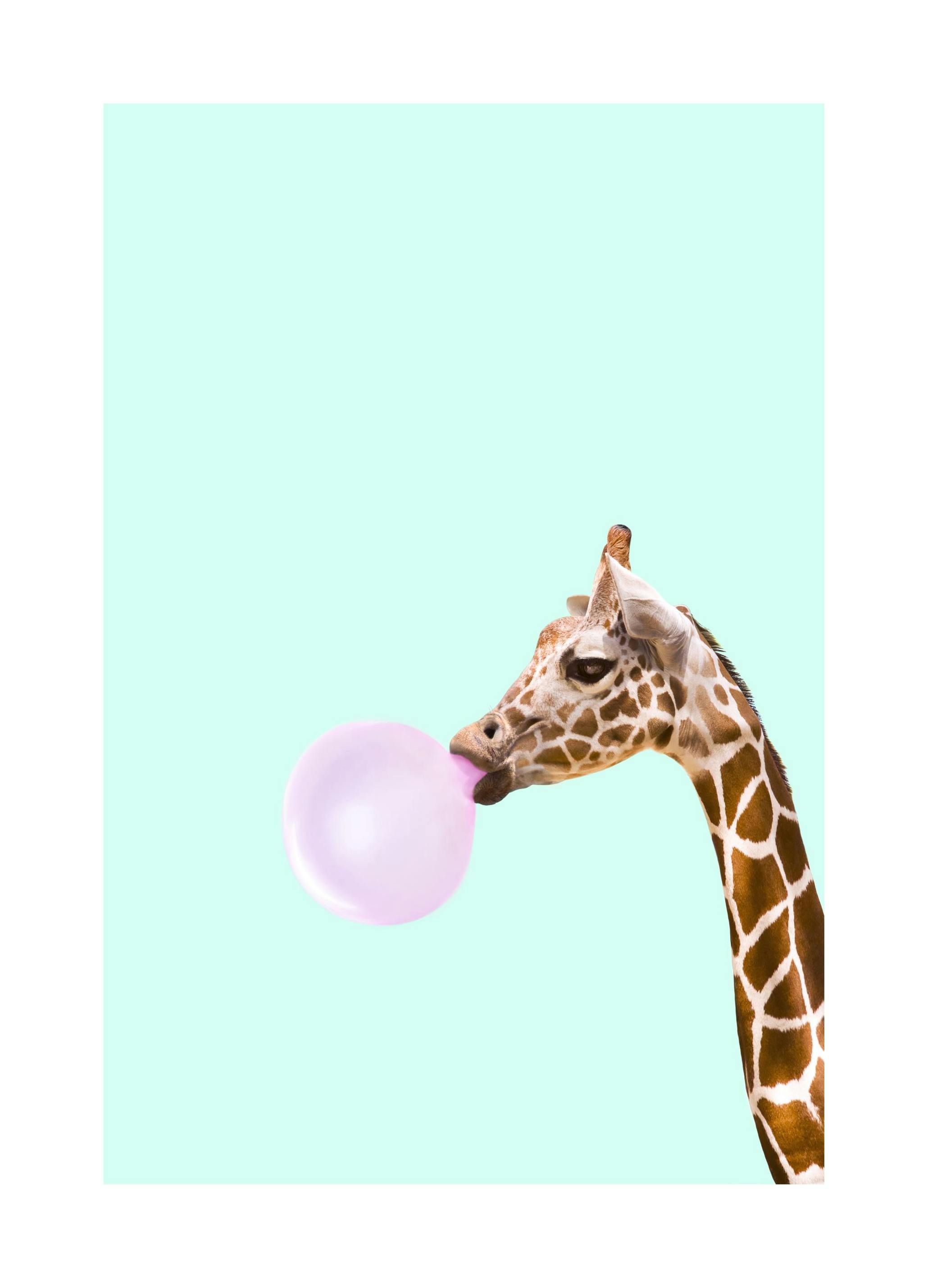 Bubblegum Giraffe Poster (21x30 cm) - Poster Store