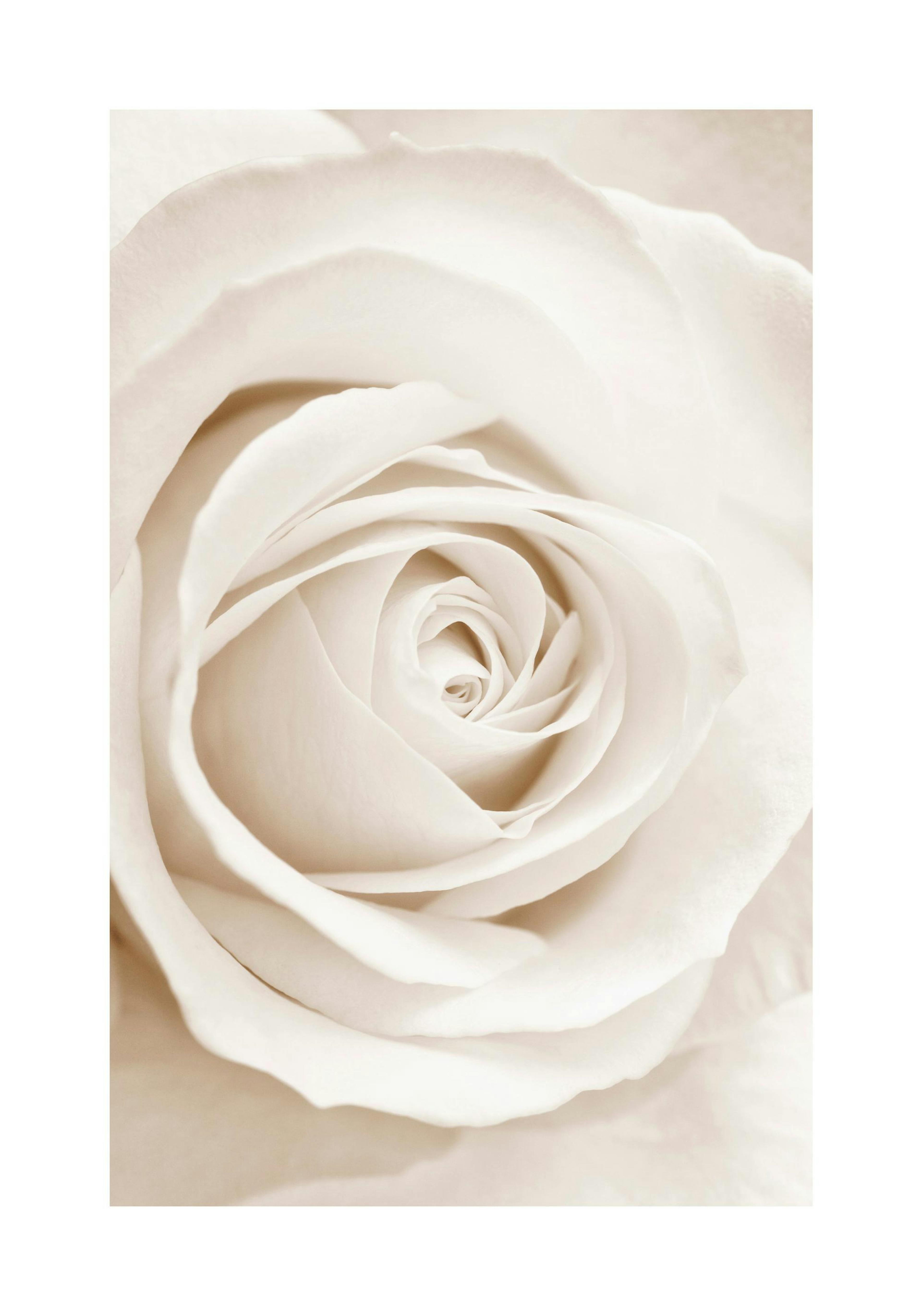 Product image: 1
