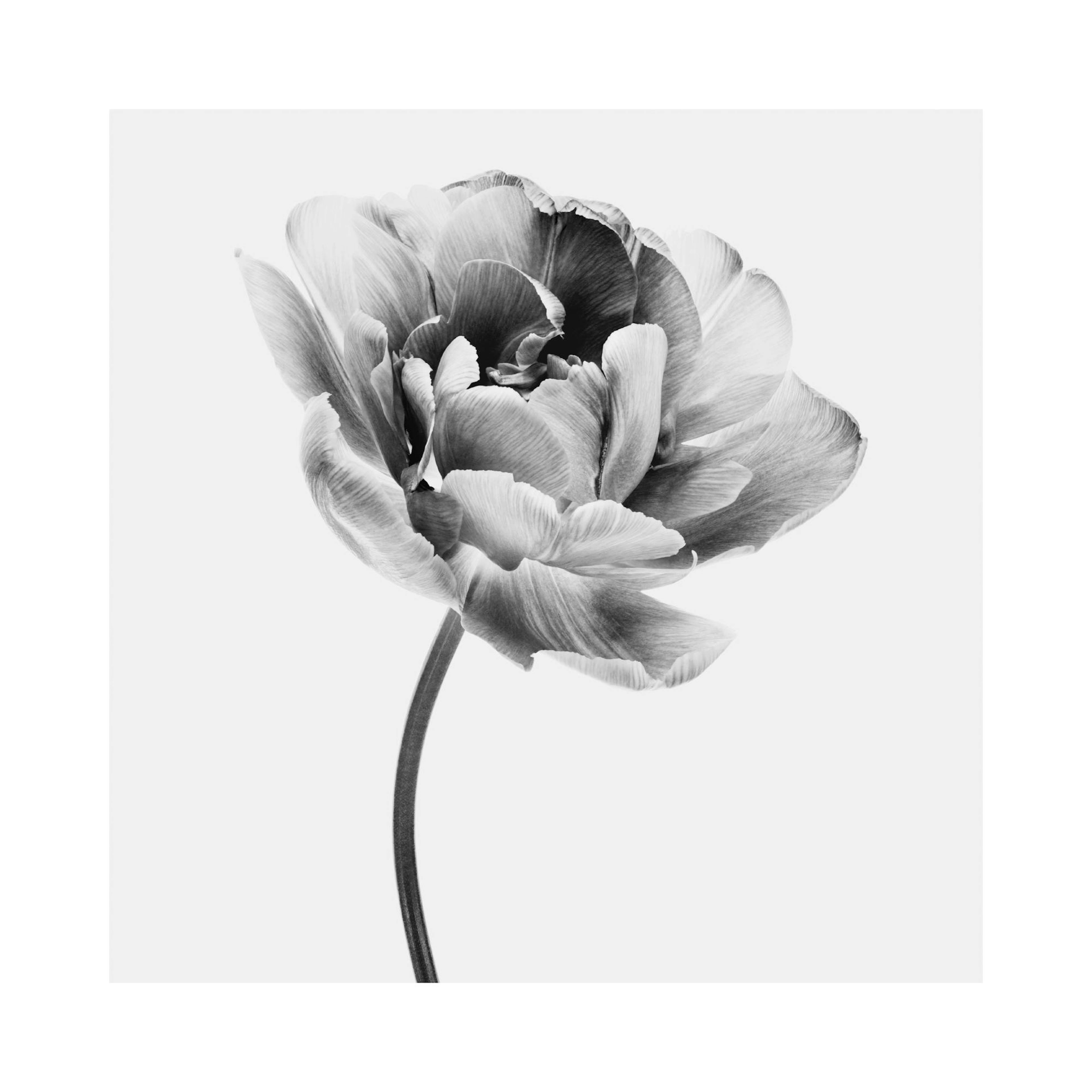 Product image: 1