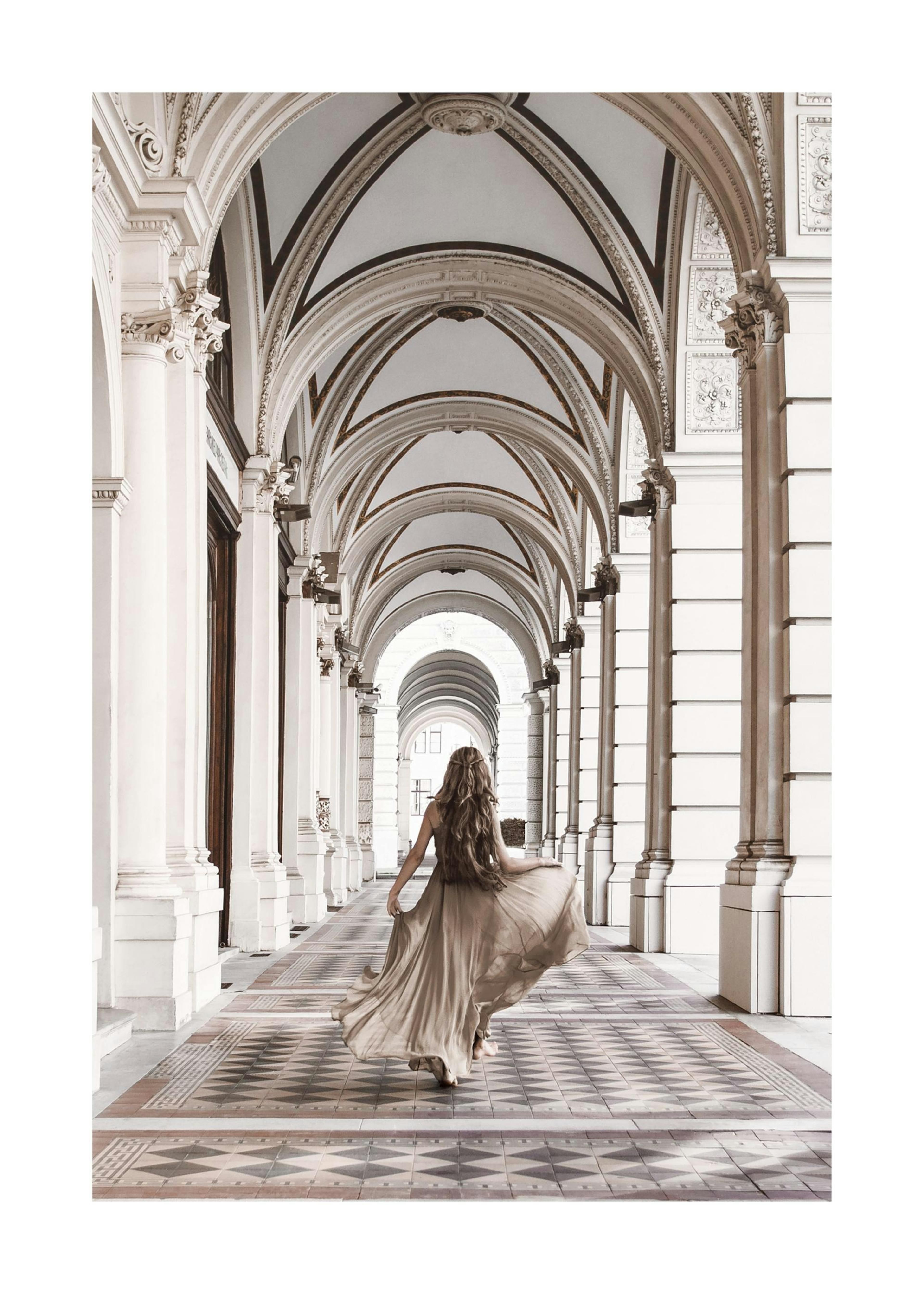 Brown Dress Poster 0