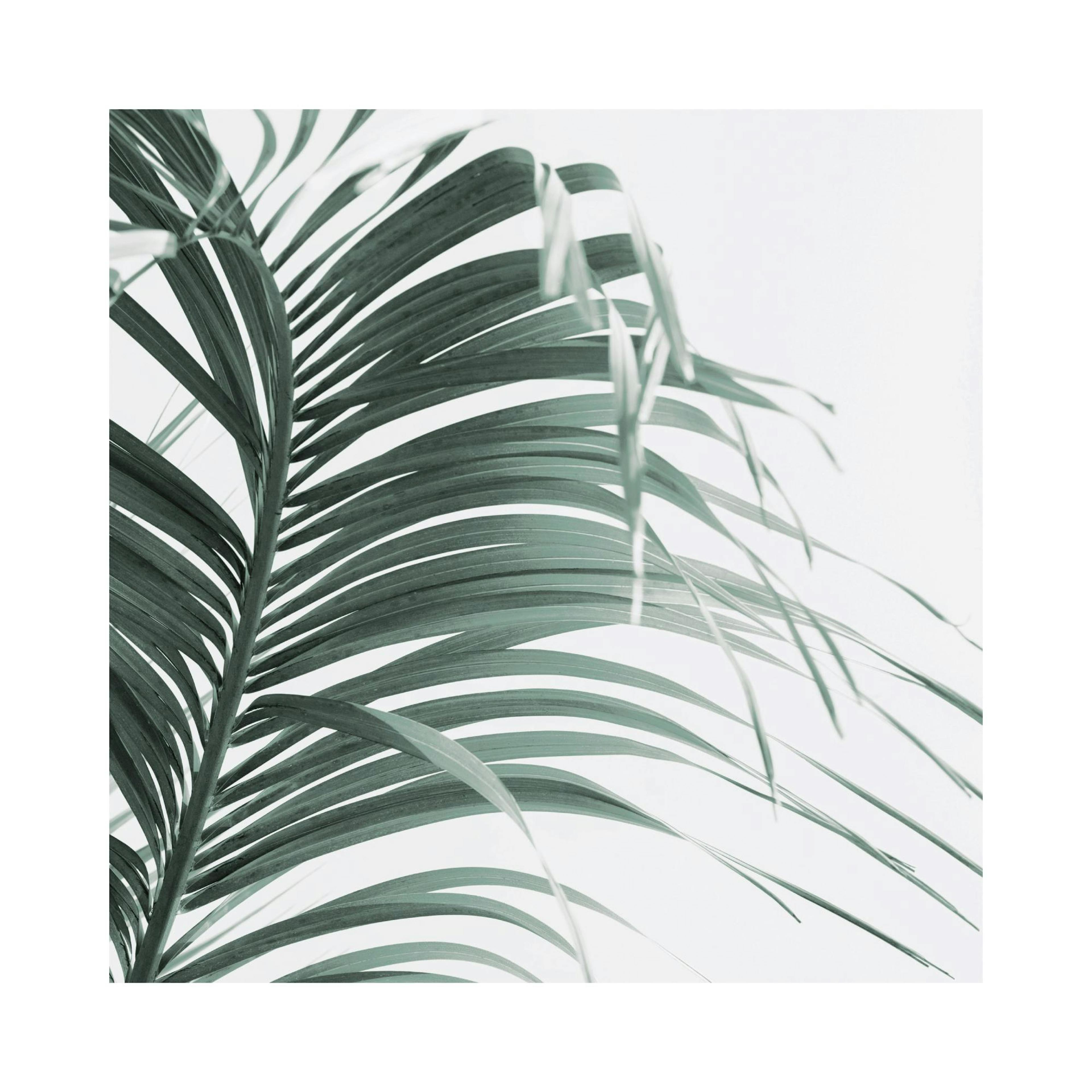 Product image: 1
