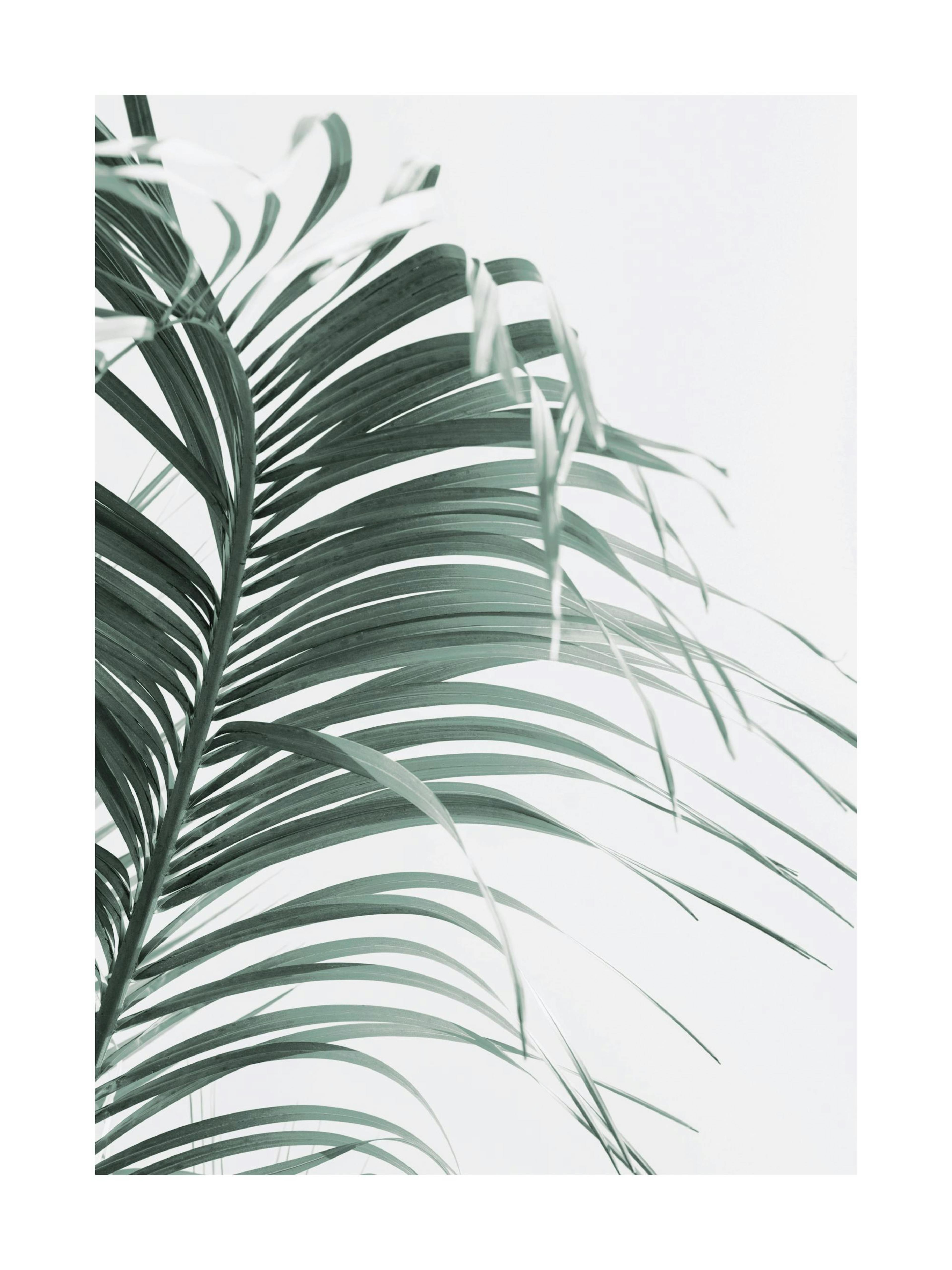 Product image: 1
