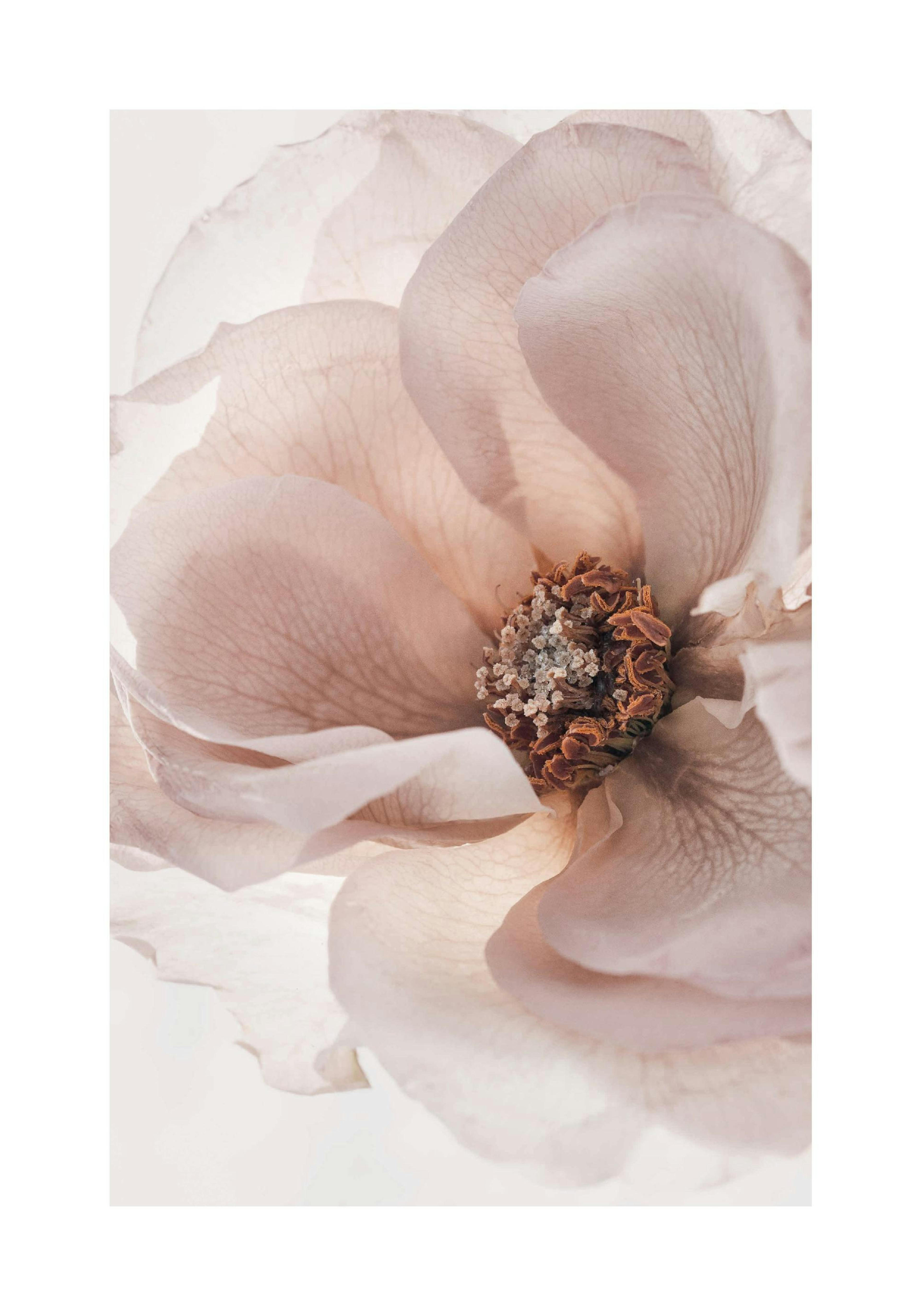 Product image: 1