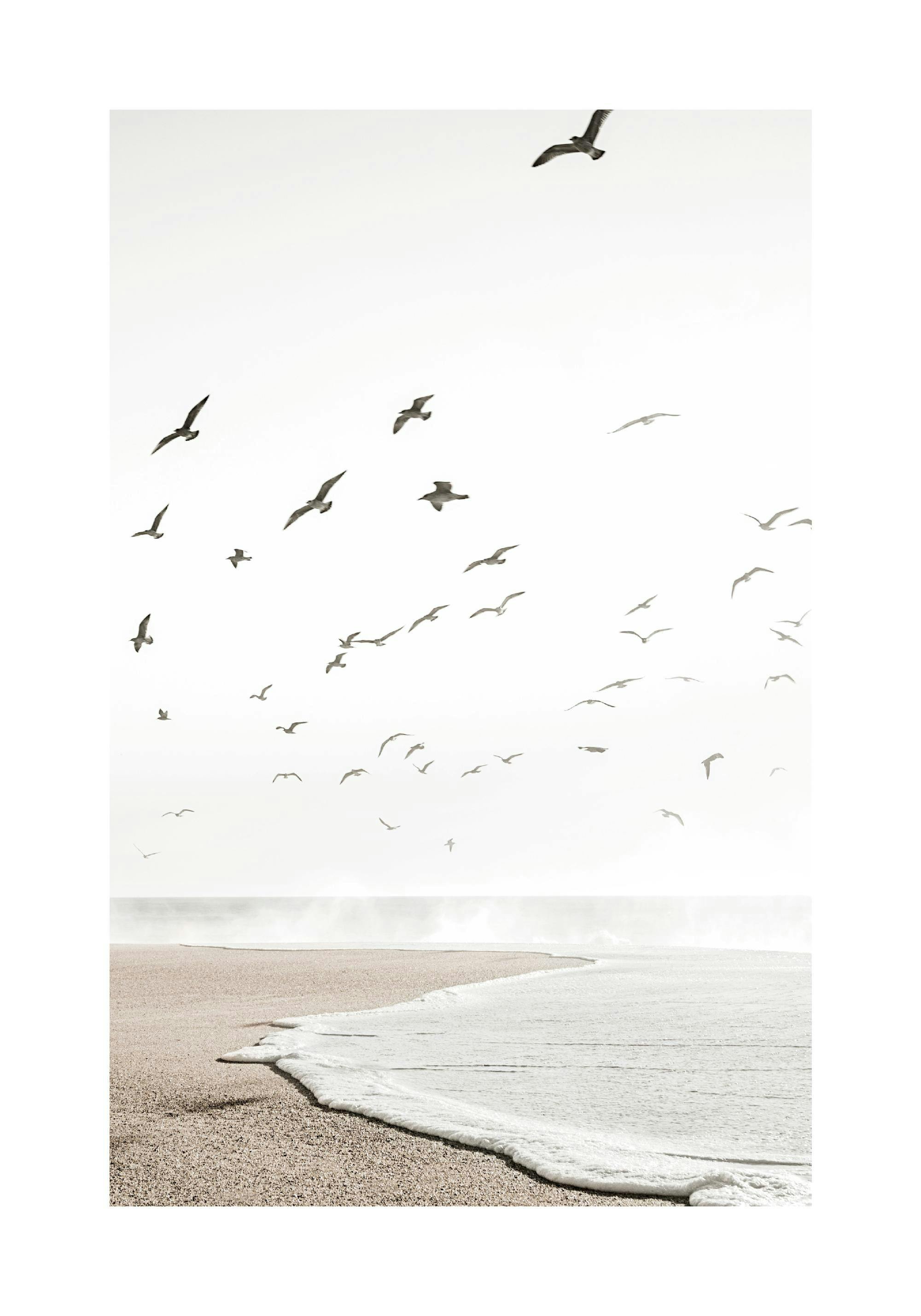 Poster: Eine Strandlandschaft in Sepia-Tönen mit Wellen am sandigen Ufer und fliegenden Möwen am hellen Himmel.