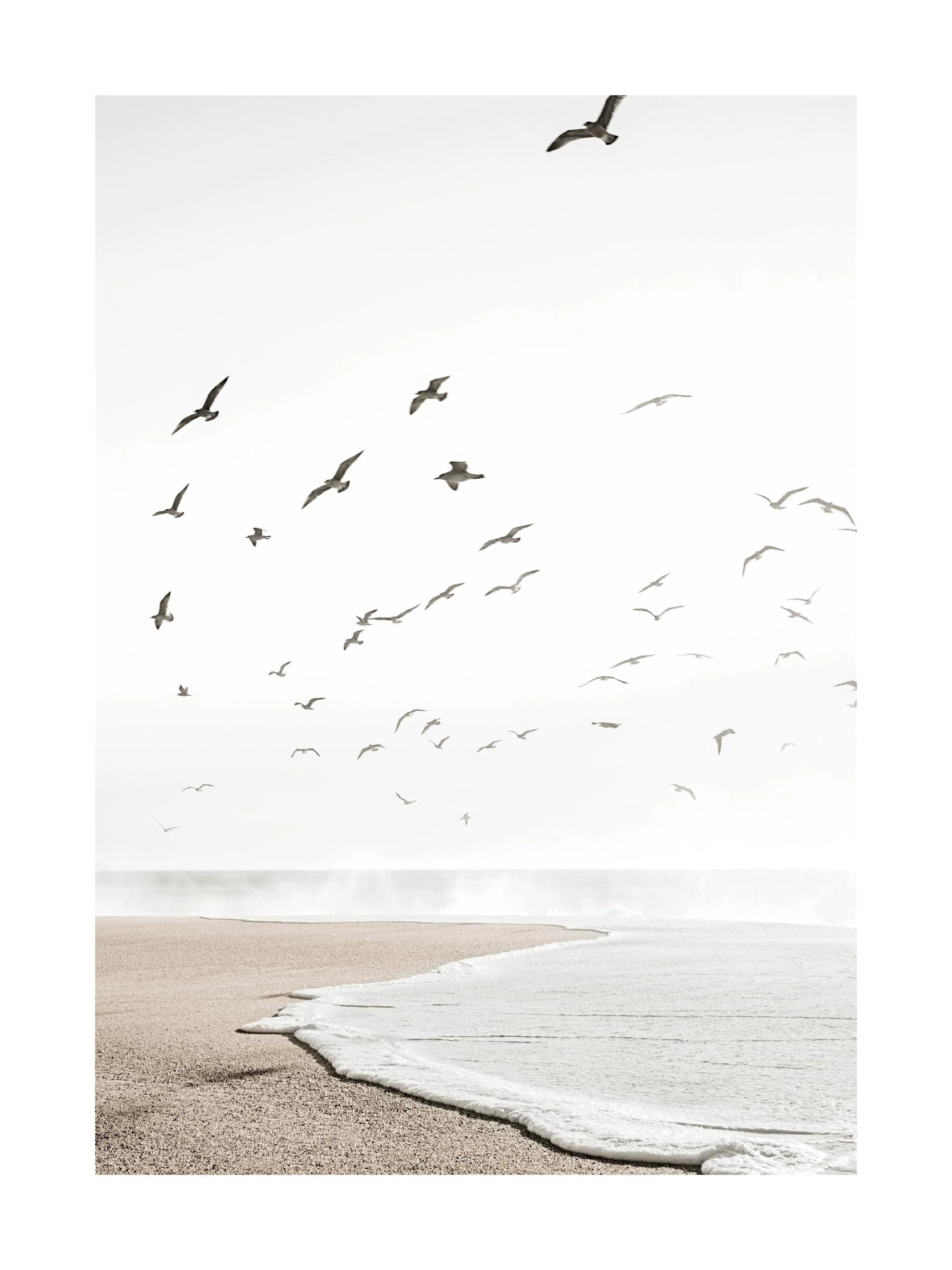 A minimalist poster of a sandy beach and ocean foam, with many seagulls flying overhead against a bright sky.