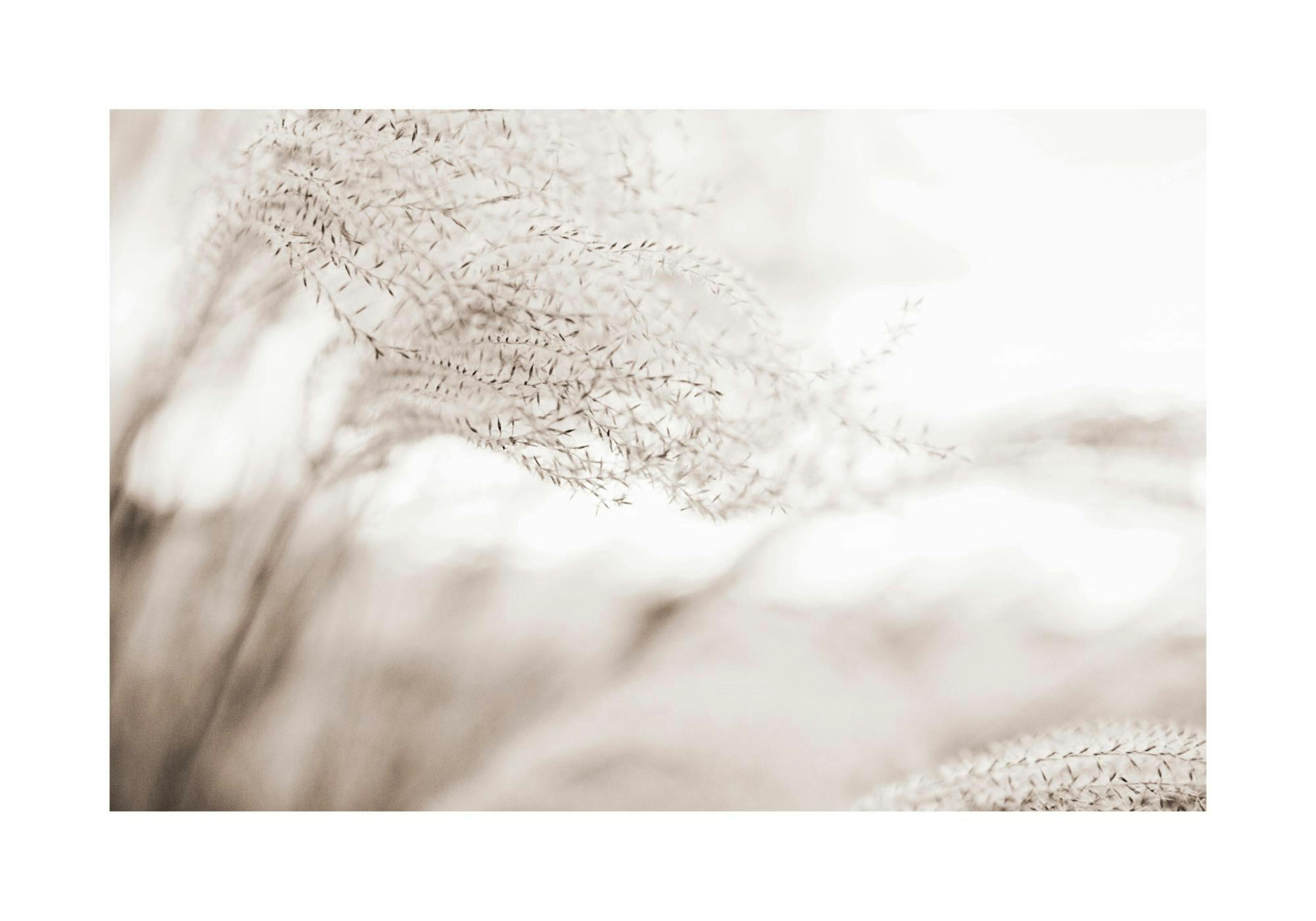 Product image: 1