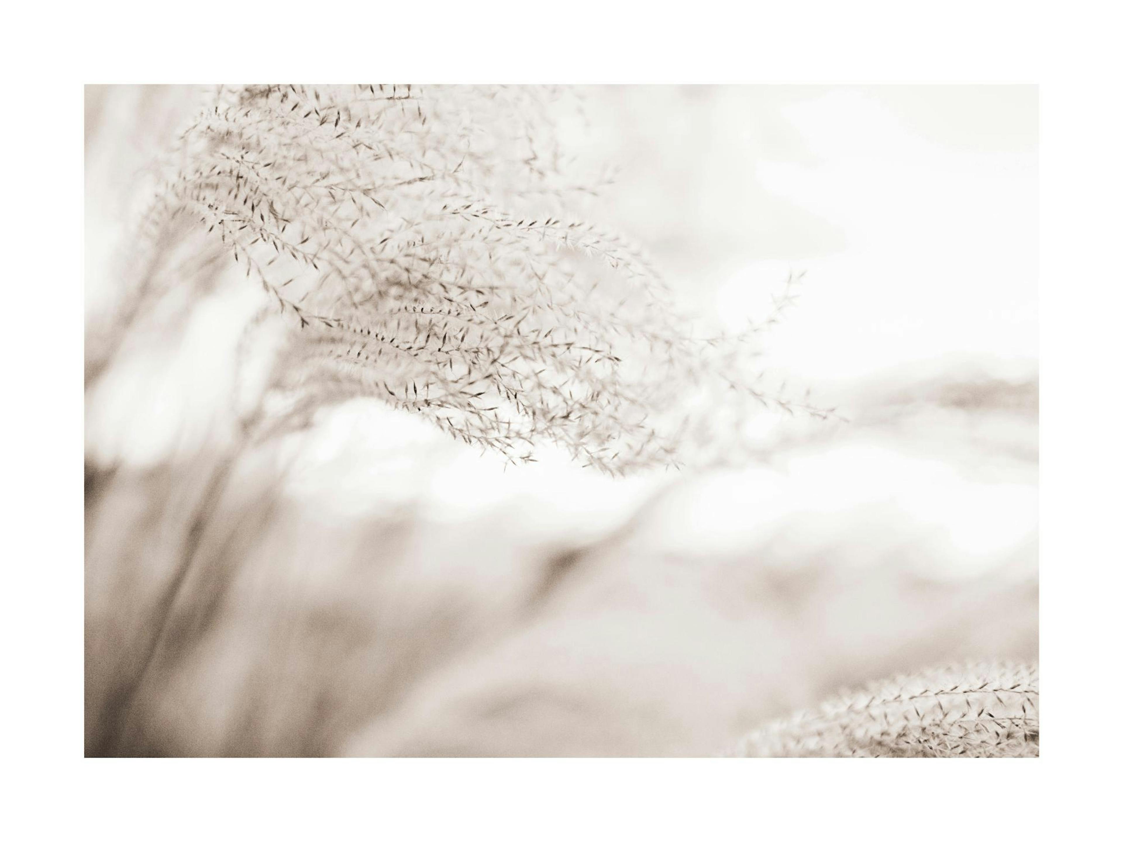 Product image: 1