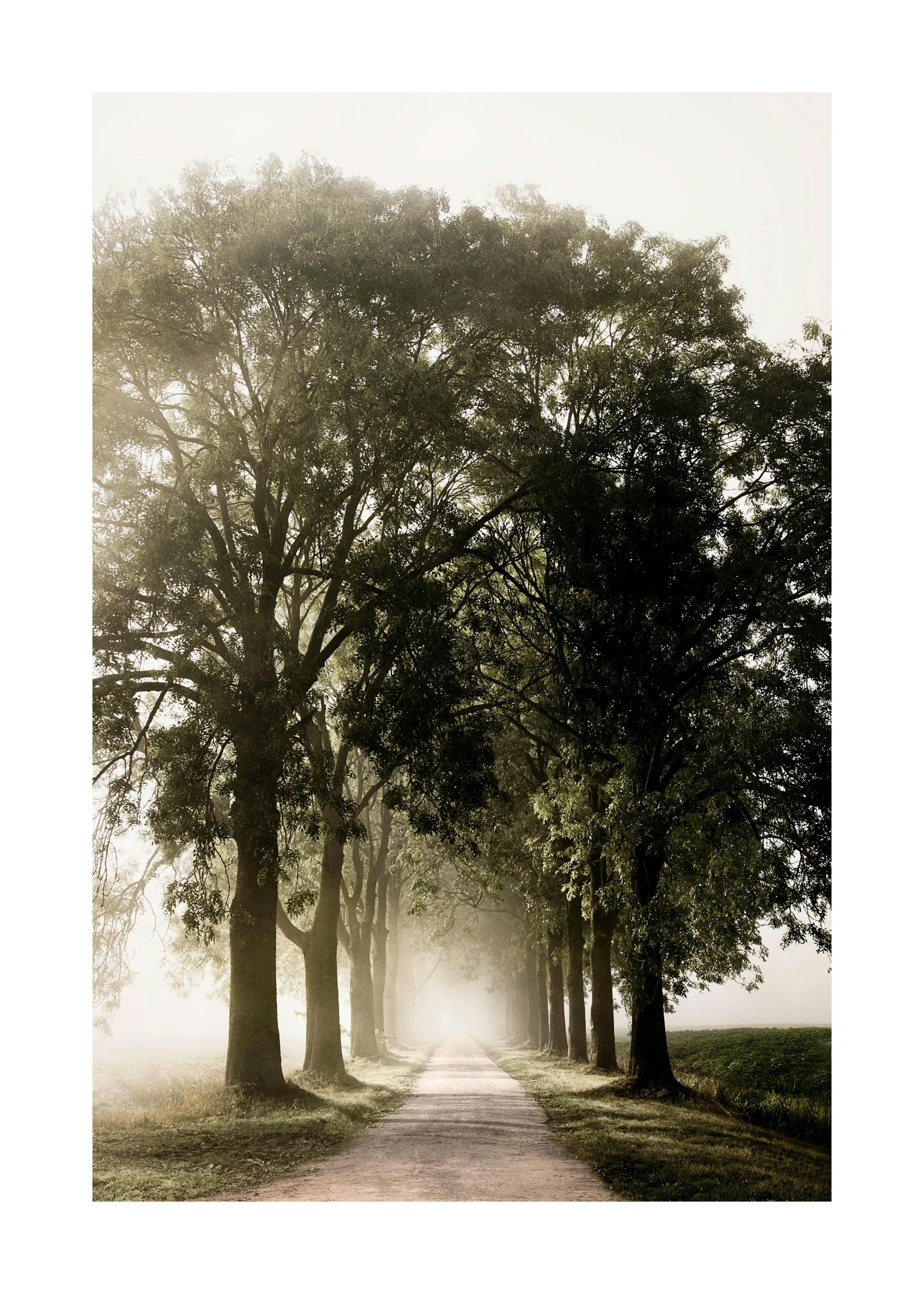 Country Road Poster 0