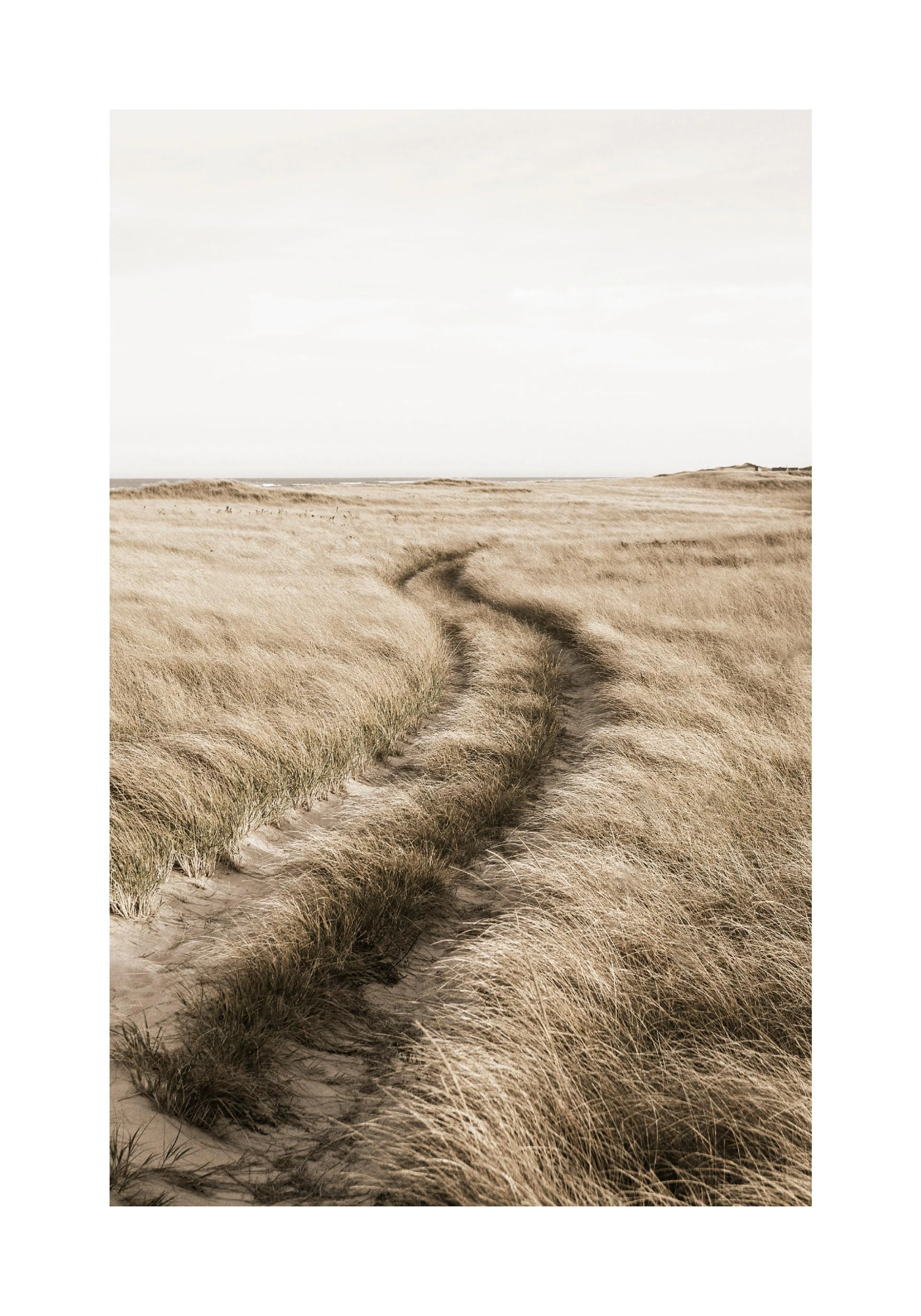 A sepia-toned poster of a winding path through tall, dry dune grass with a distant ocean horizon.