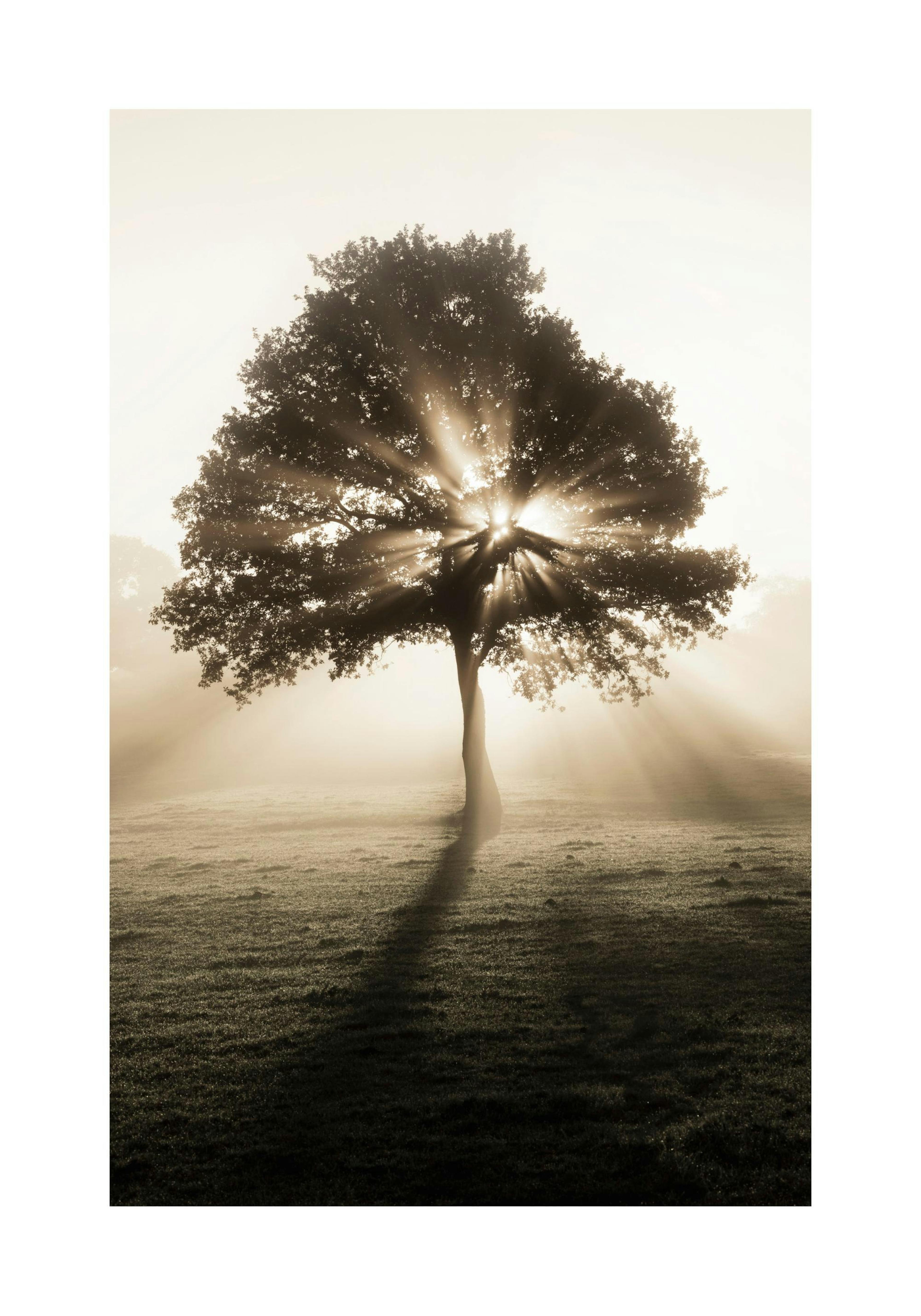 Product image: 1