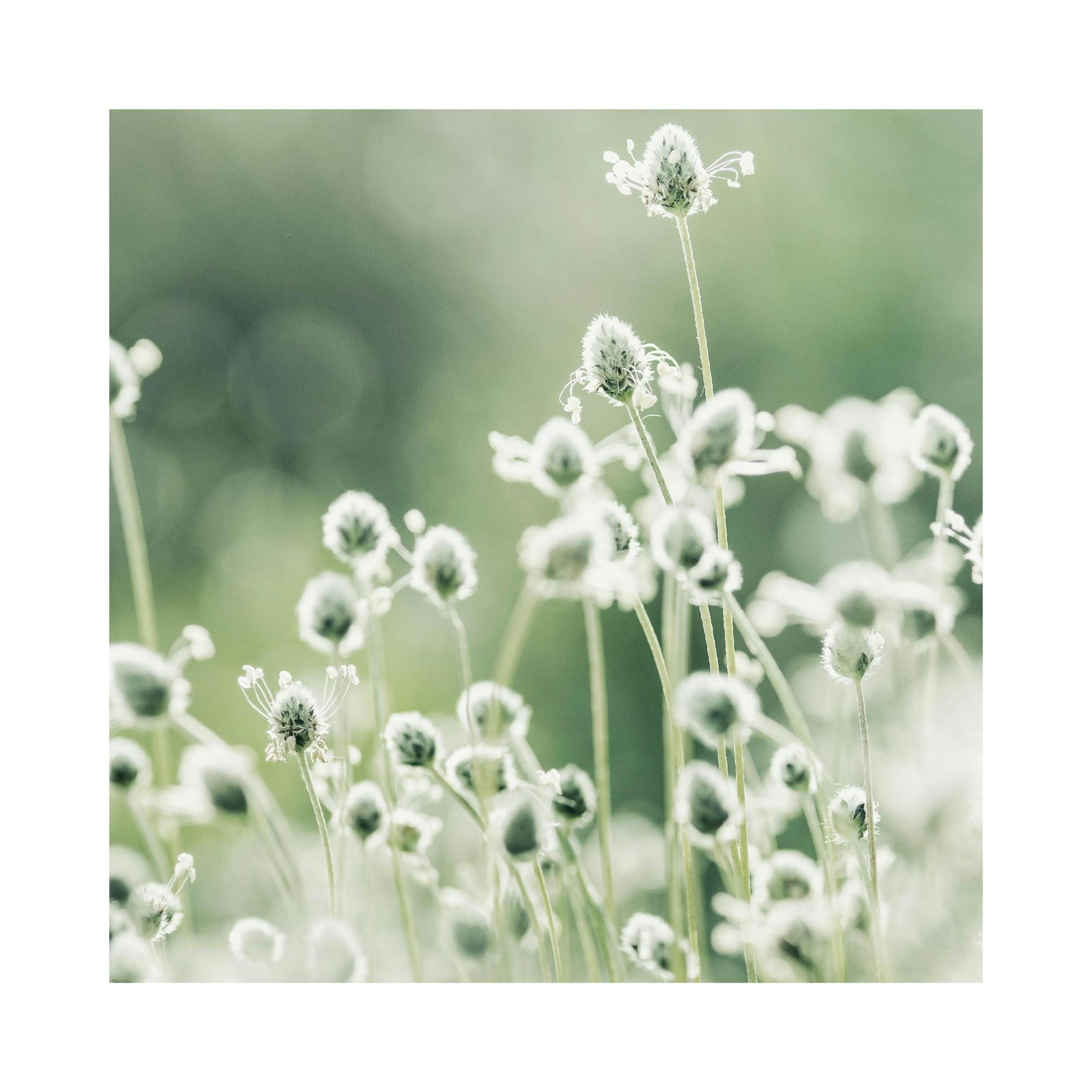Product image: 1