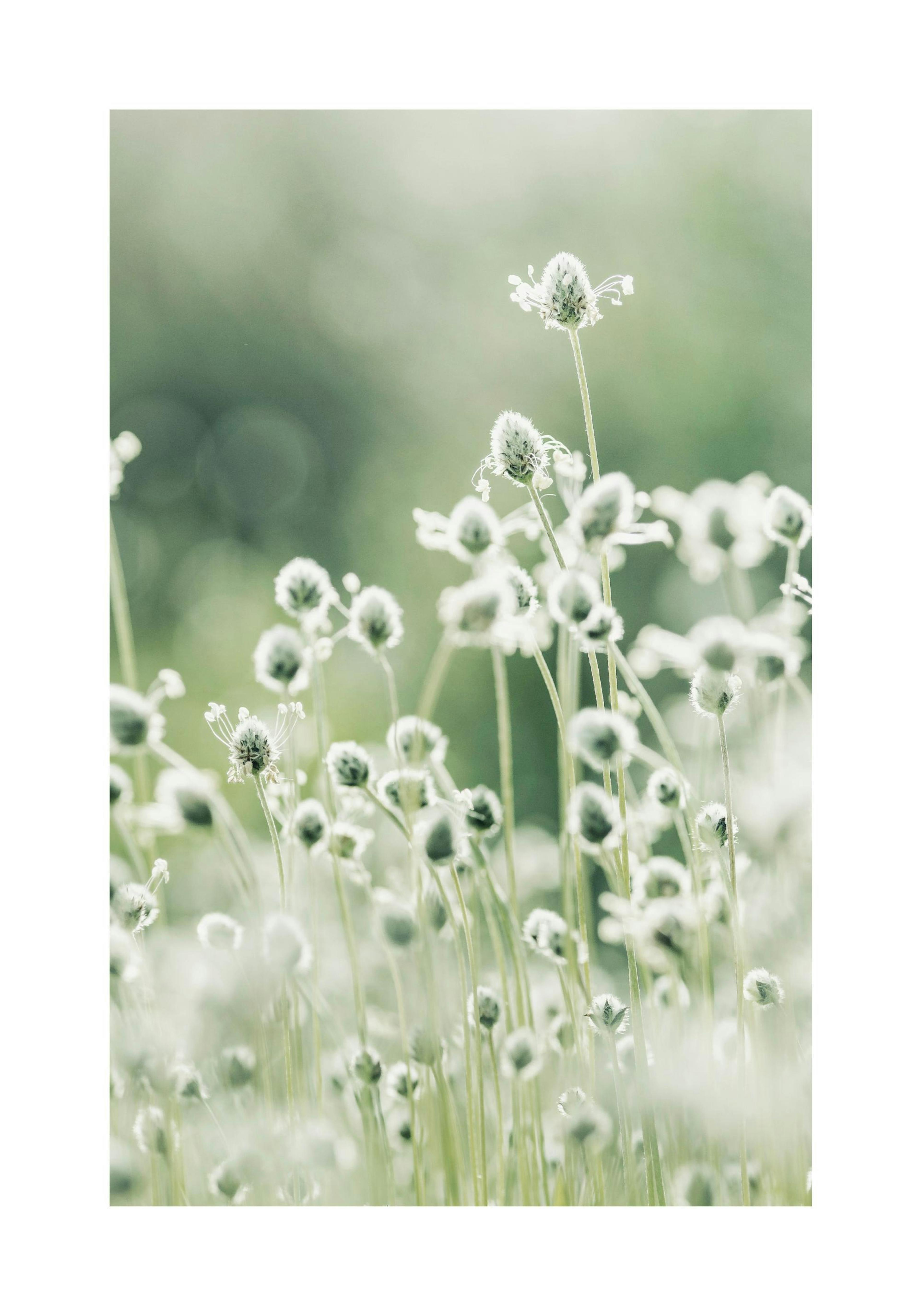 Product image: 1