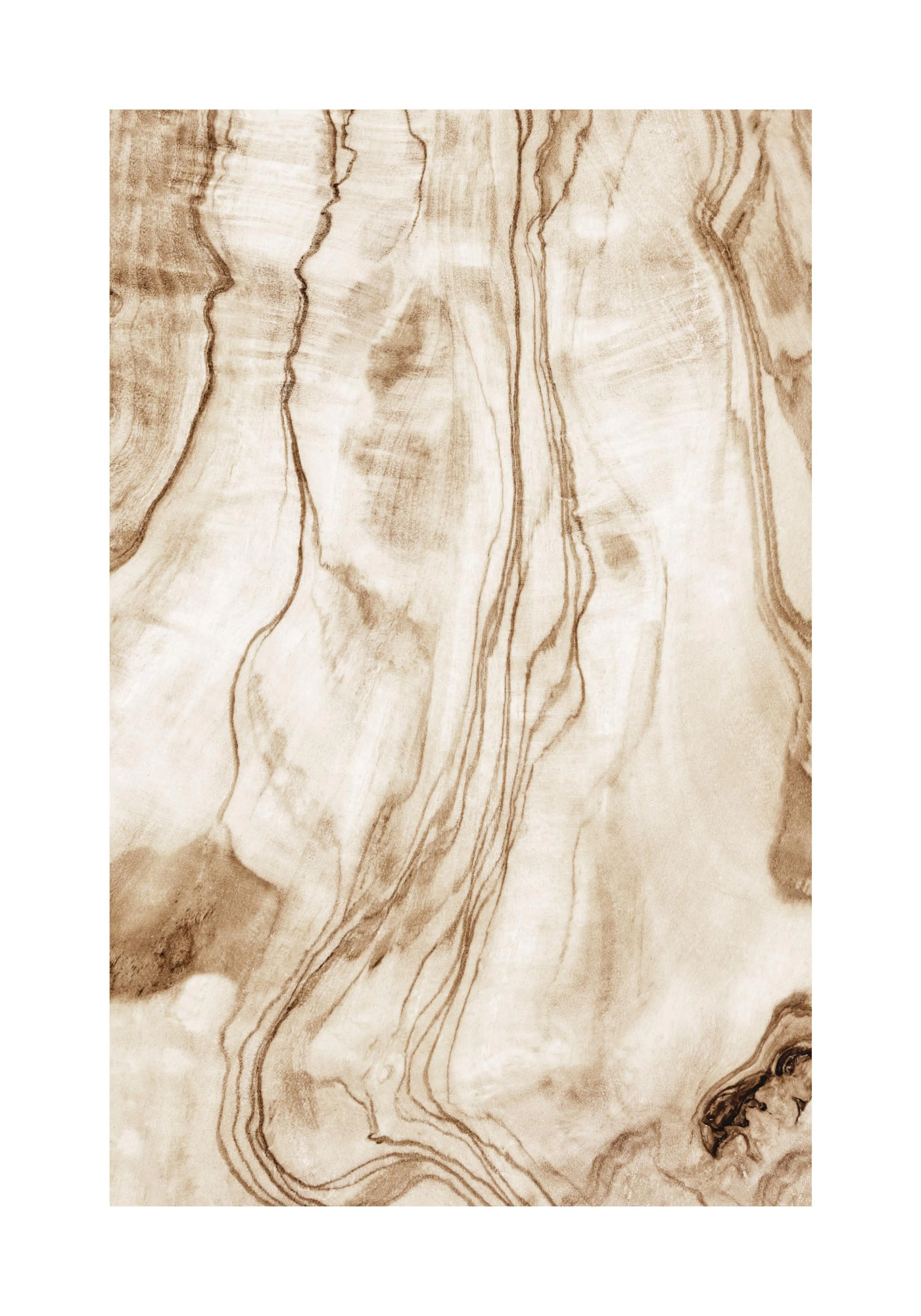 Poster med bruna, vågiga linjer som skapar ett naturligt trämönster på en ljus beige bakgrund.