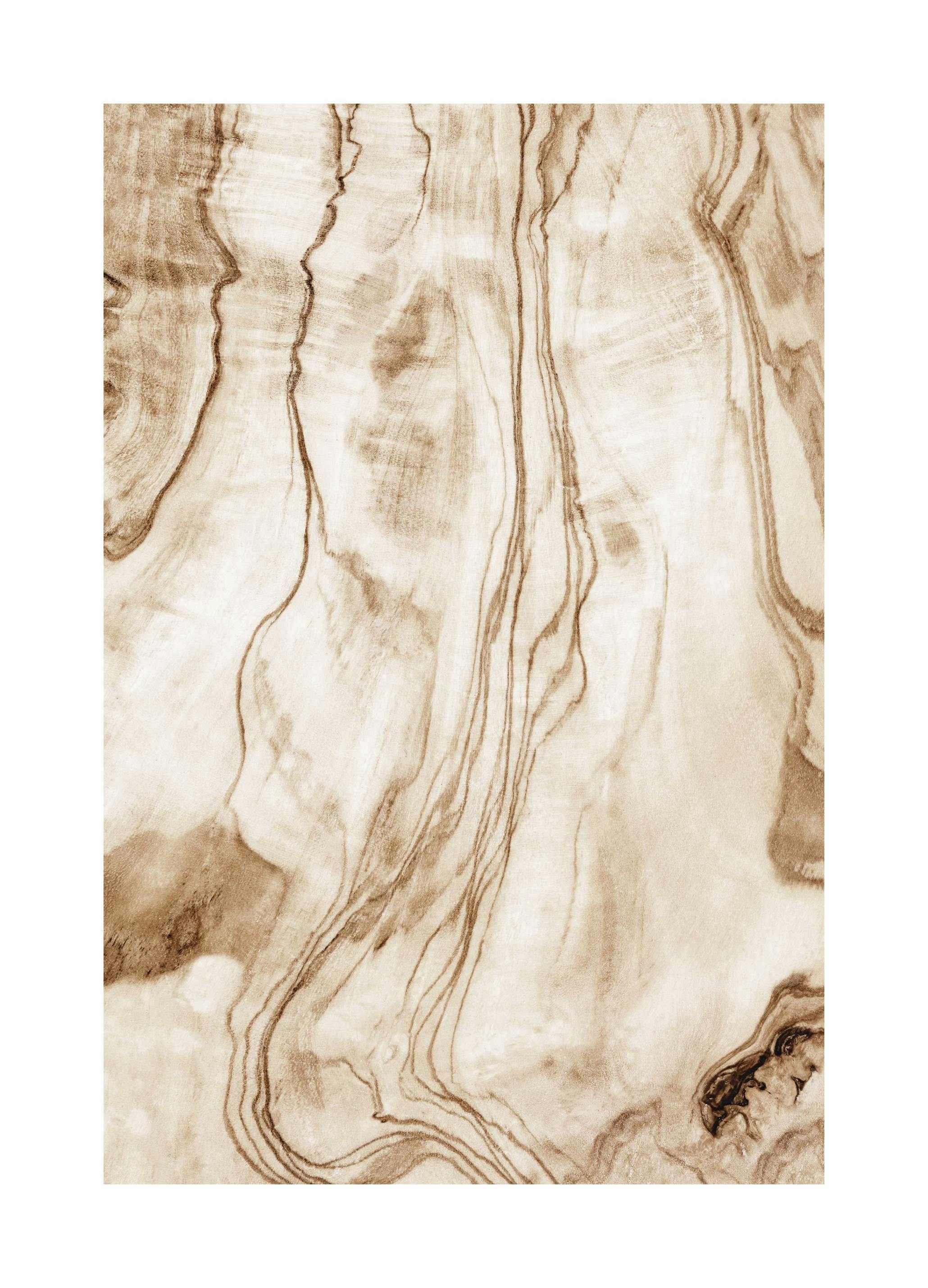 Wood Texture Poster (21x30 cm) - Poster Store